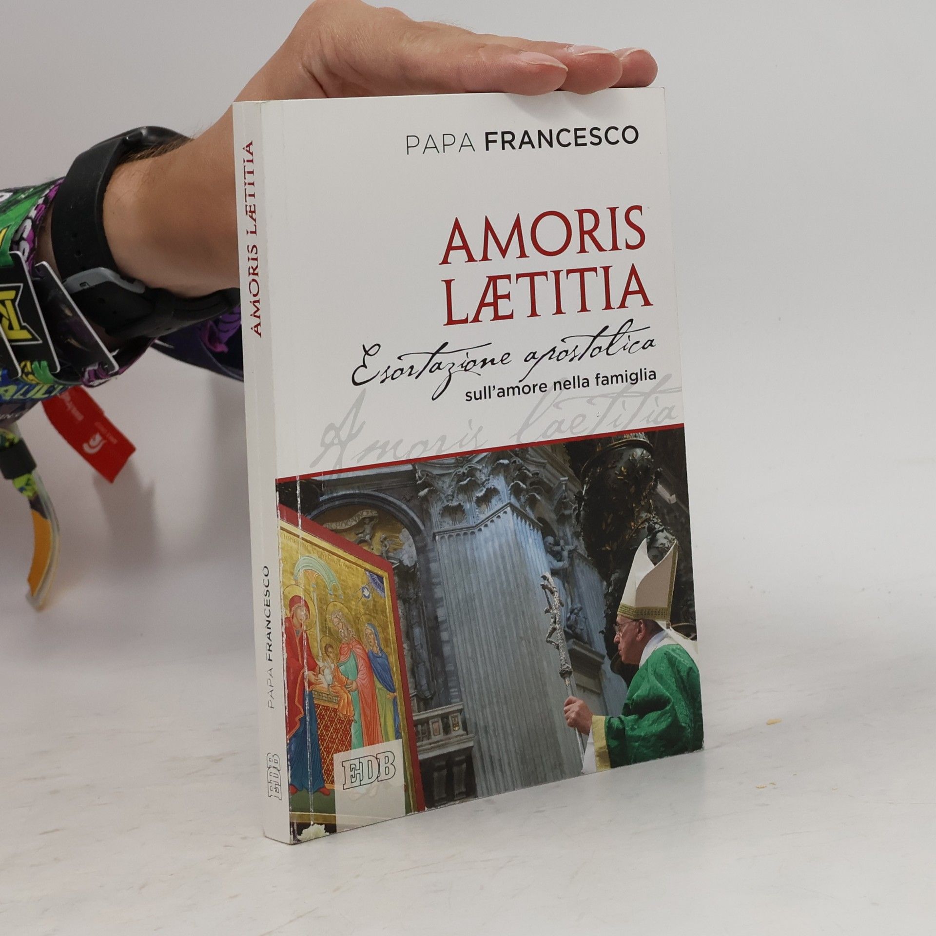 Papež František Amoris Laetitia
