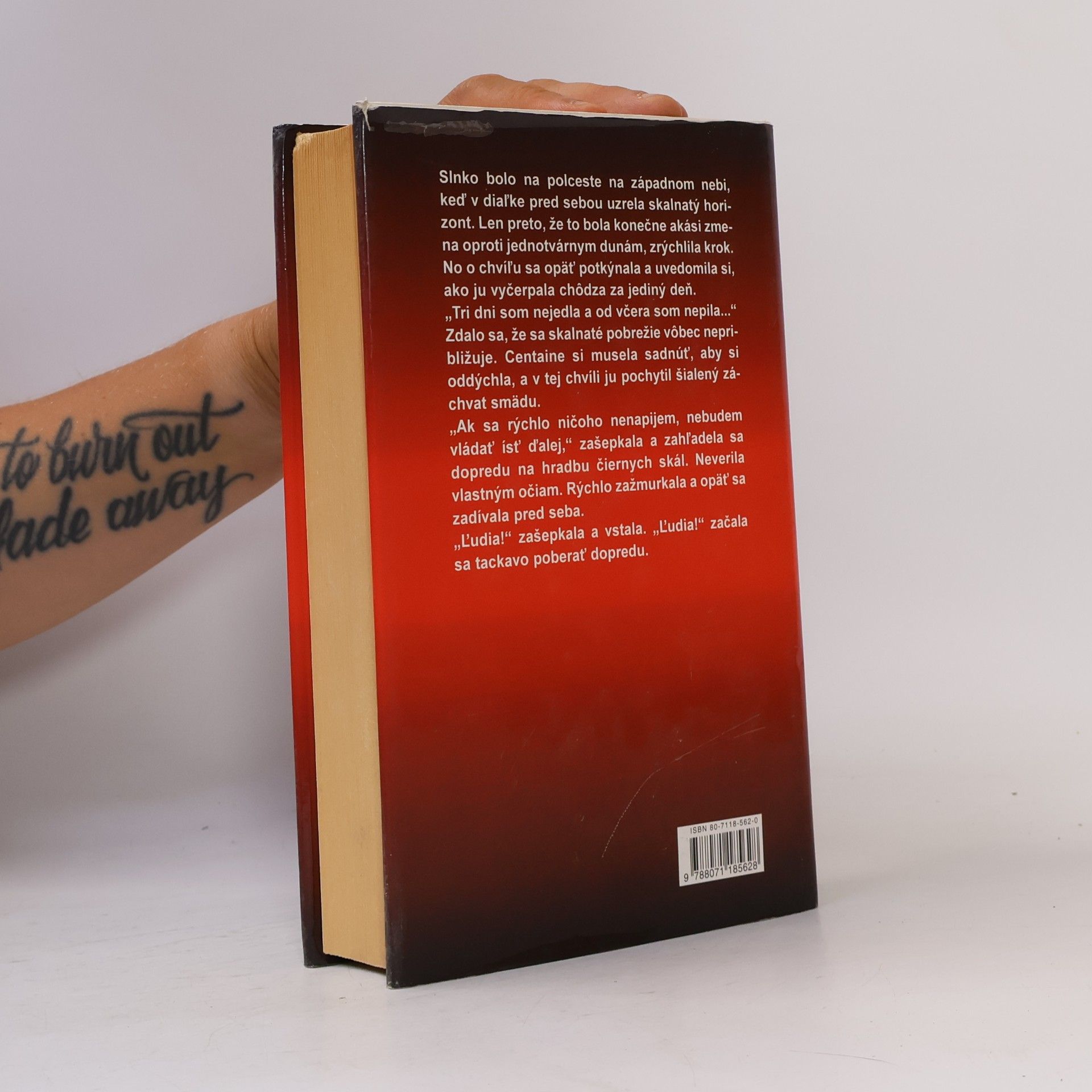 Wilbur Smith Horiace pobrežie