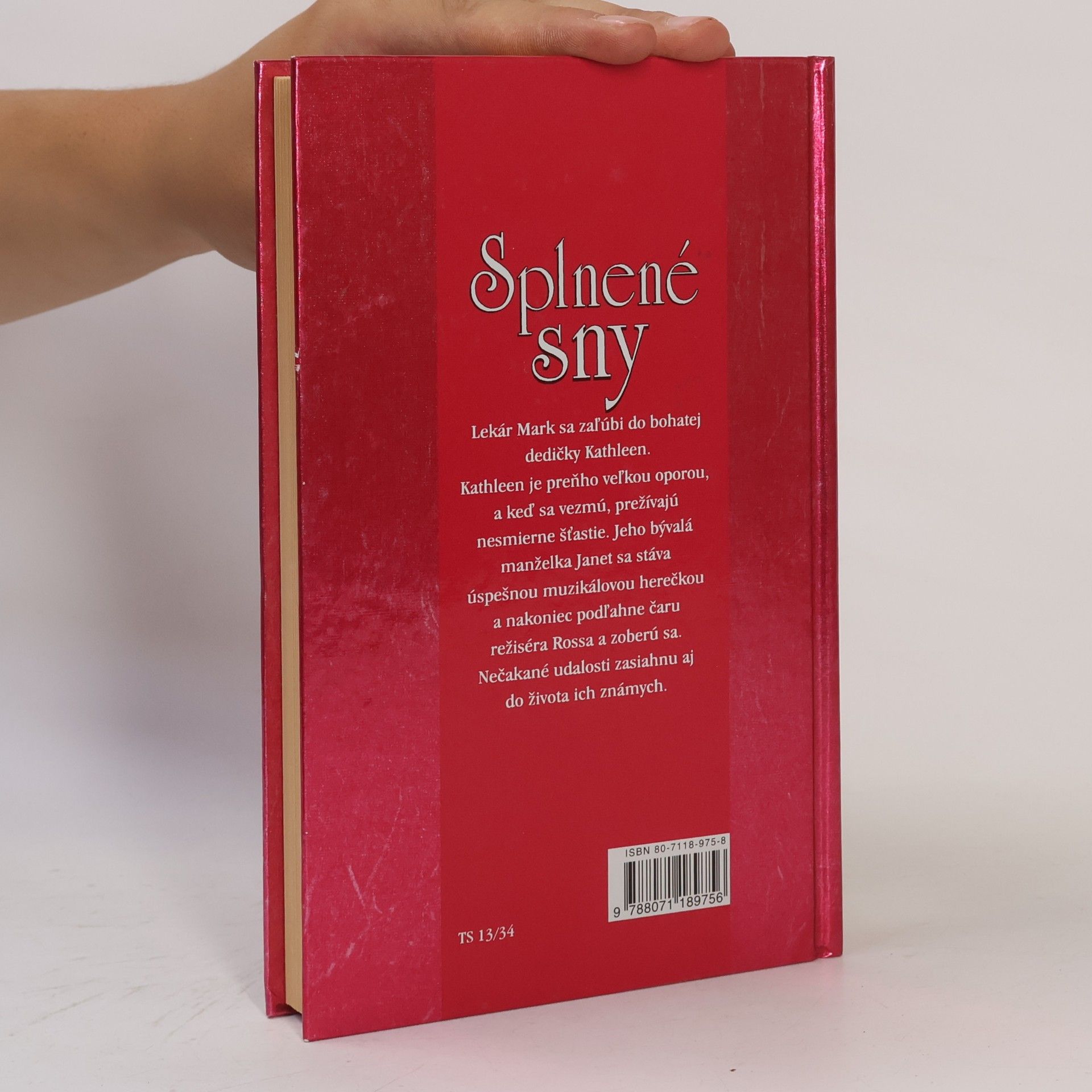 Katherine Stone Splnené sny
