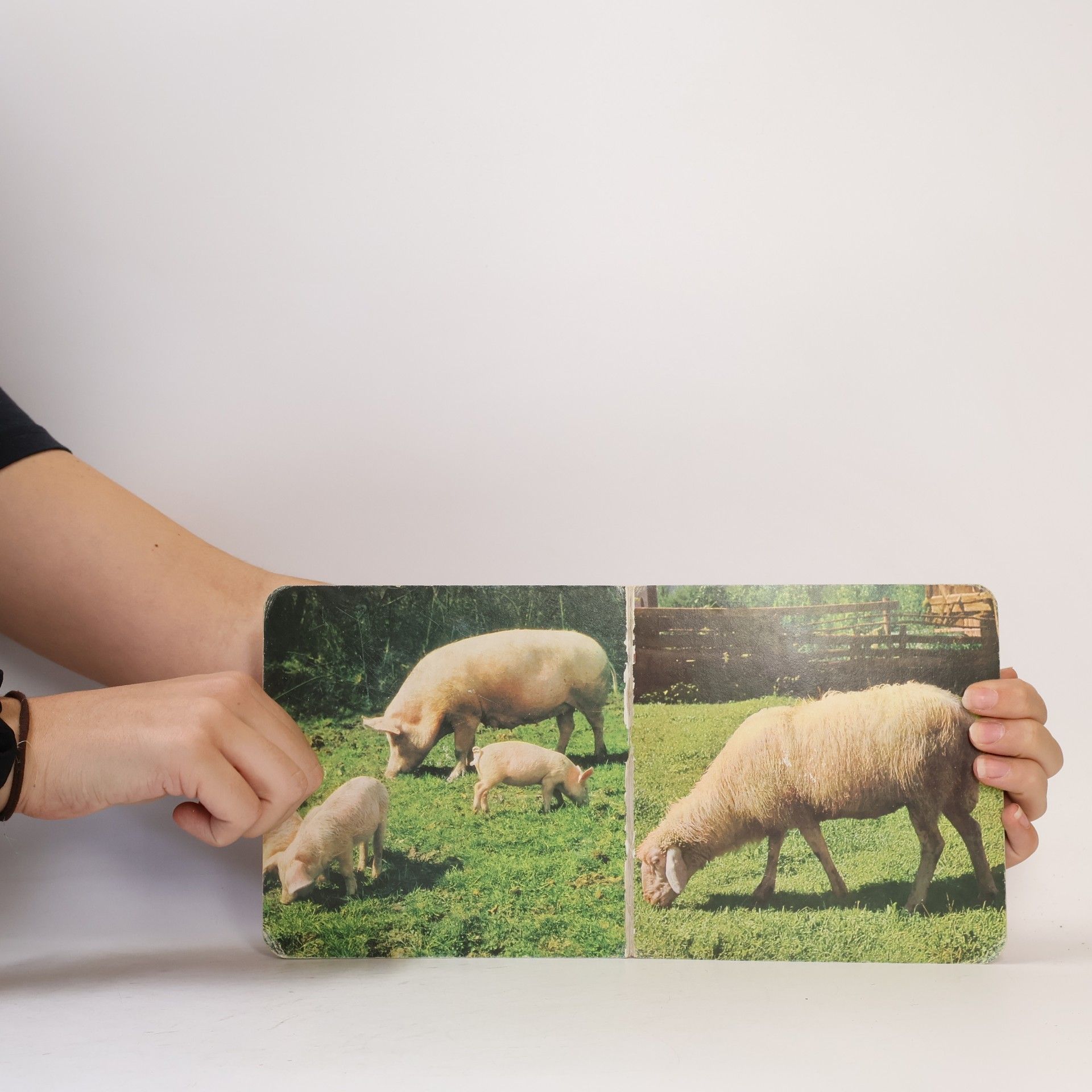 Various authors Hübsche Tiere