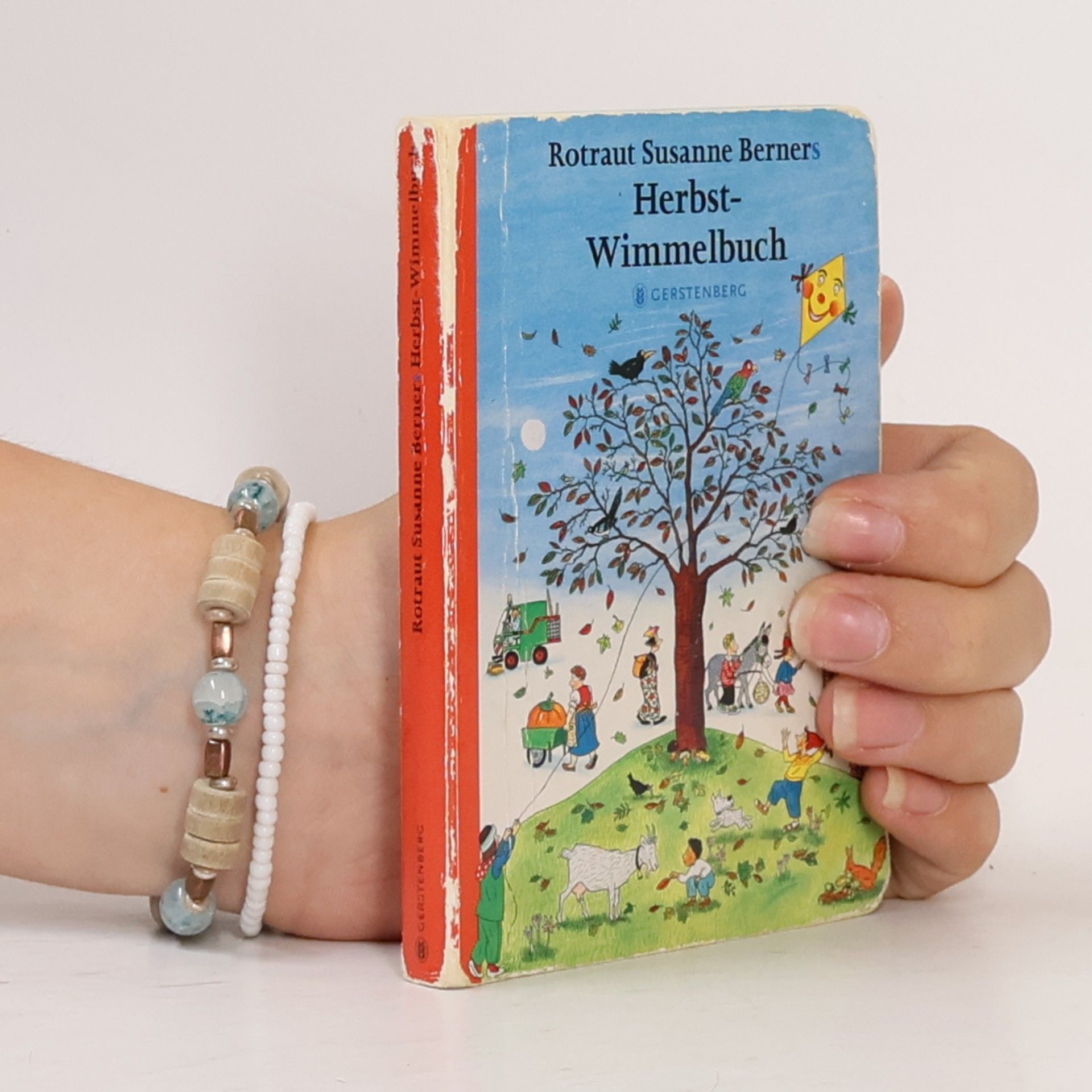 Rotraut Susanne Berner Herbst-Wimmelbuch