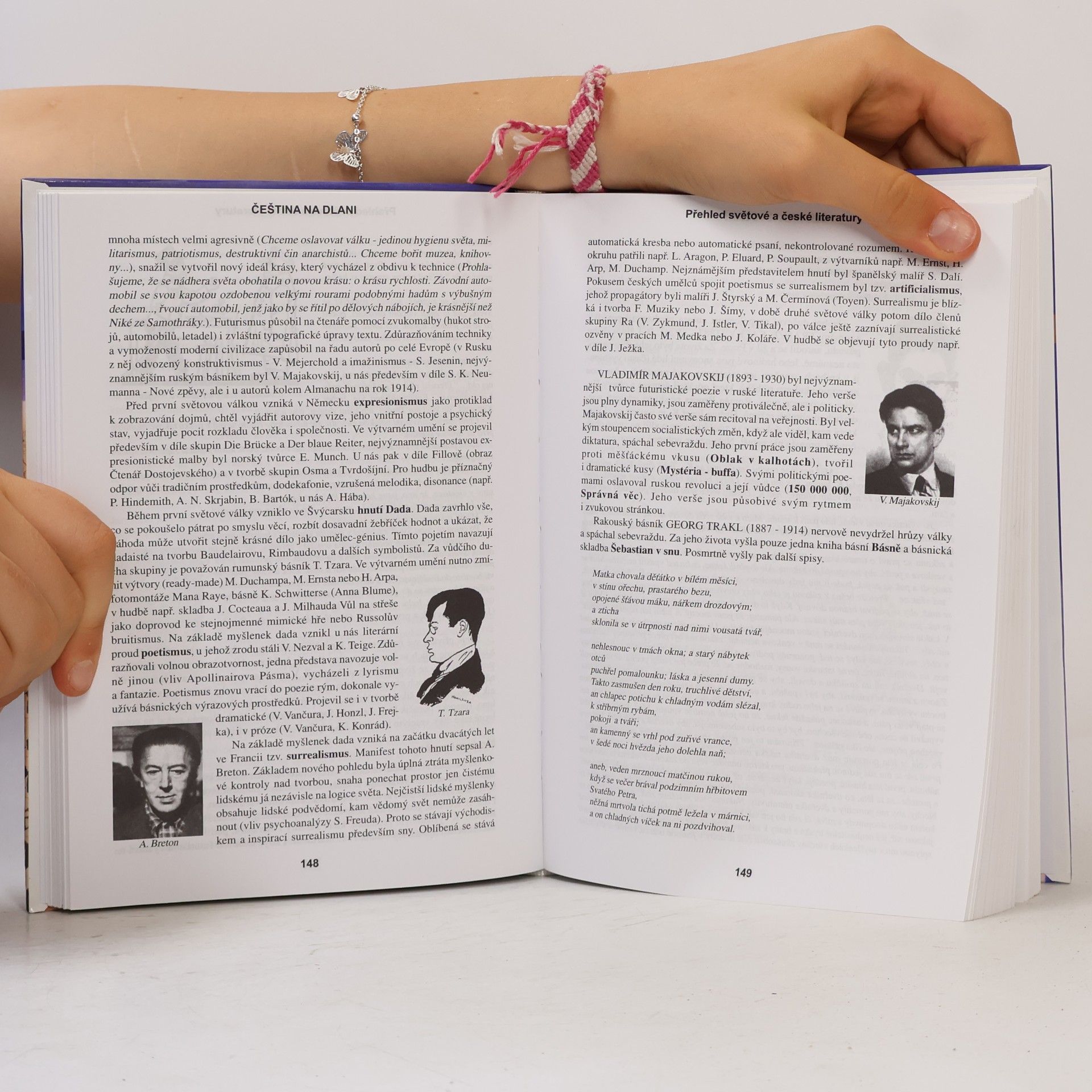 Alois Bauer Čeština na dlani. Přehled světové a české literatury