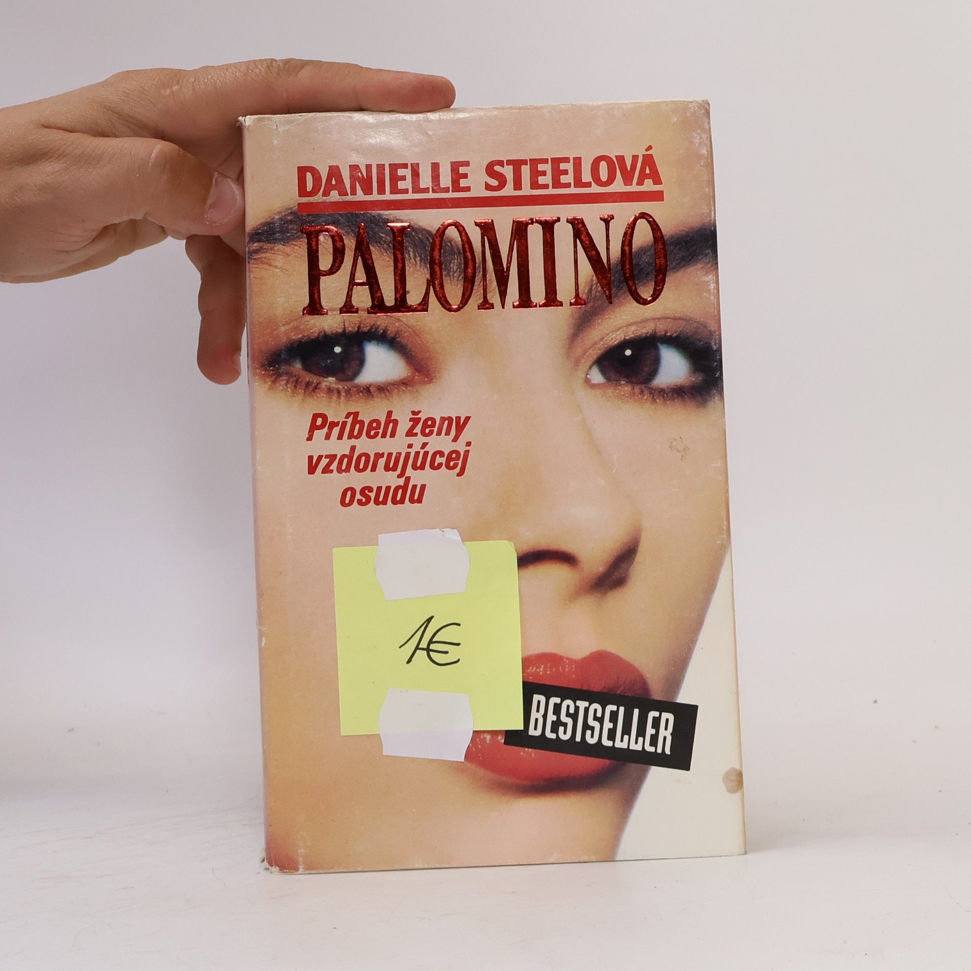Danielle Steel Palomino