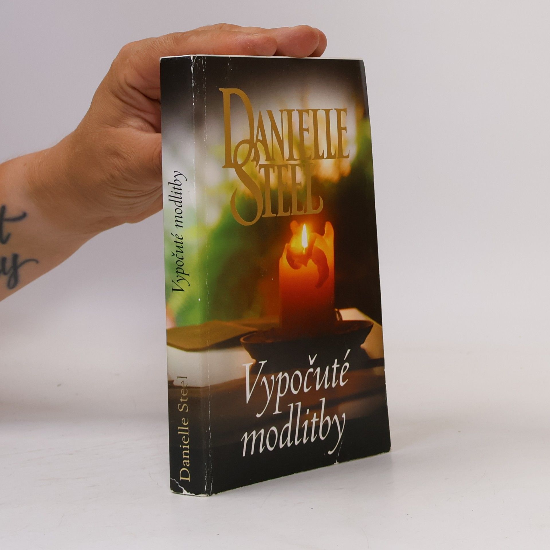 Danielle Steel Vypočuté modlitby