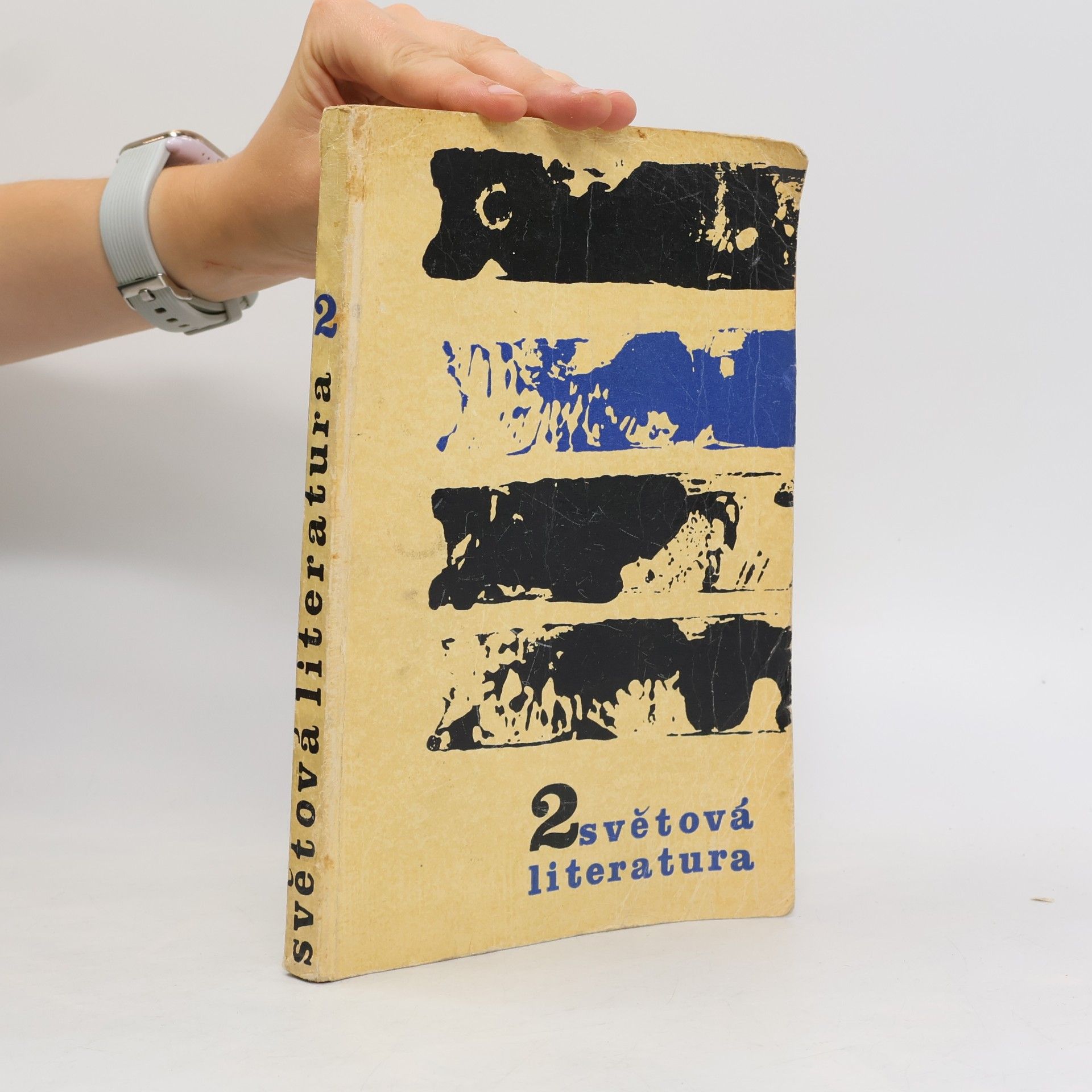 Autorenkollektiv Světová literatura 2