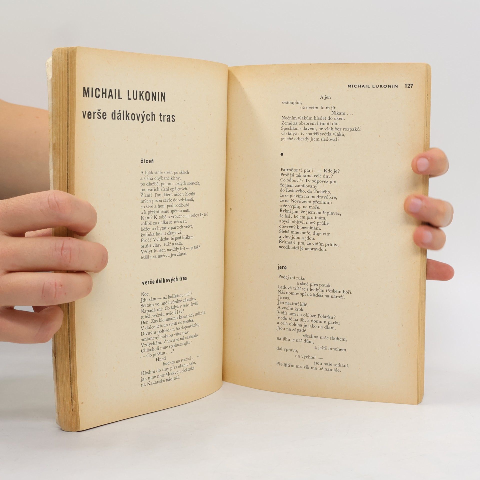 Autorenkollektiv Světová literatura 2