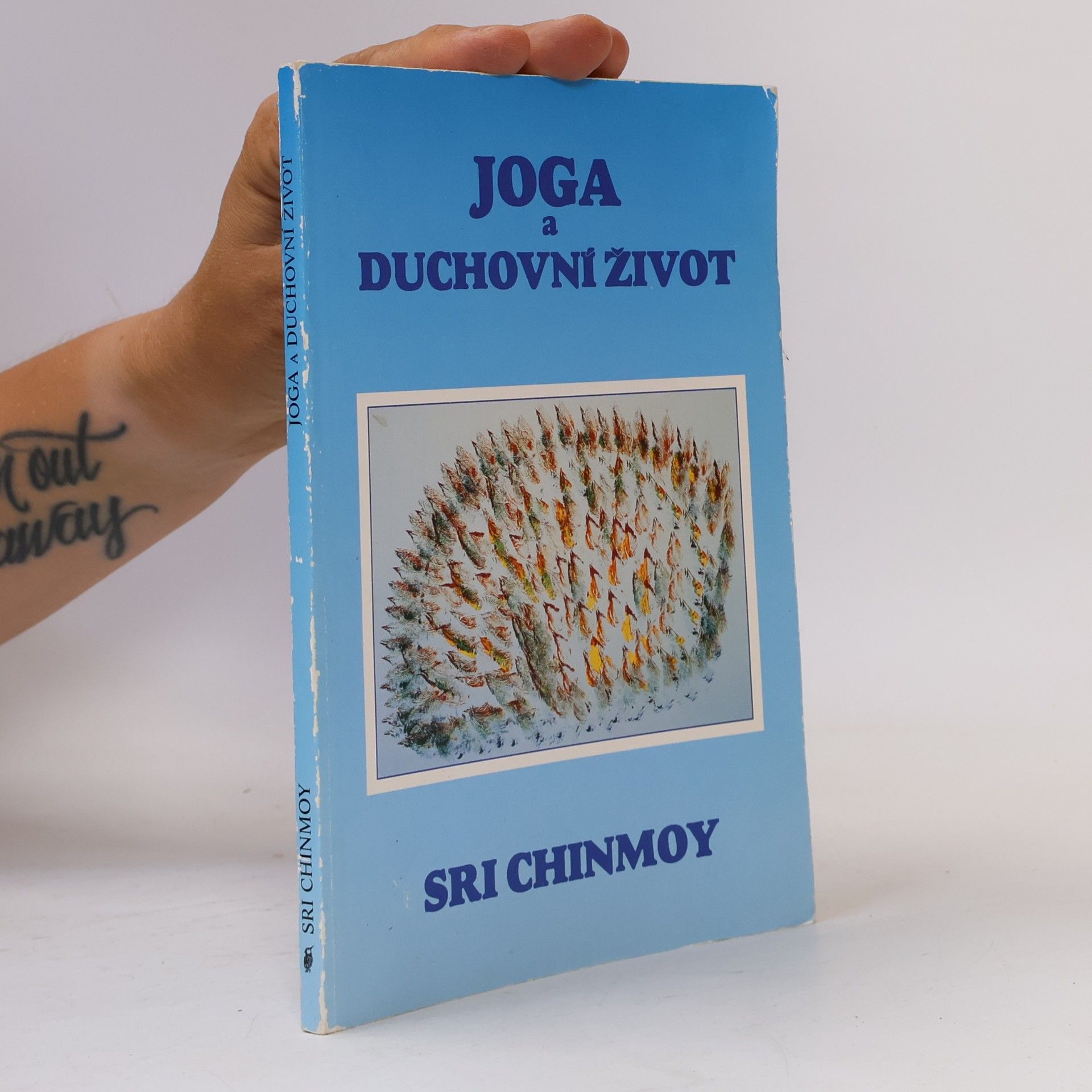 Sri Chinmoy Jóga a duchovní život: Cesta indické duše