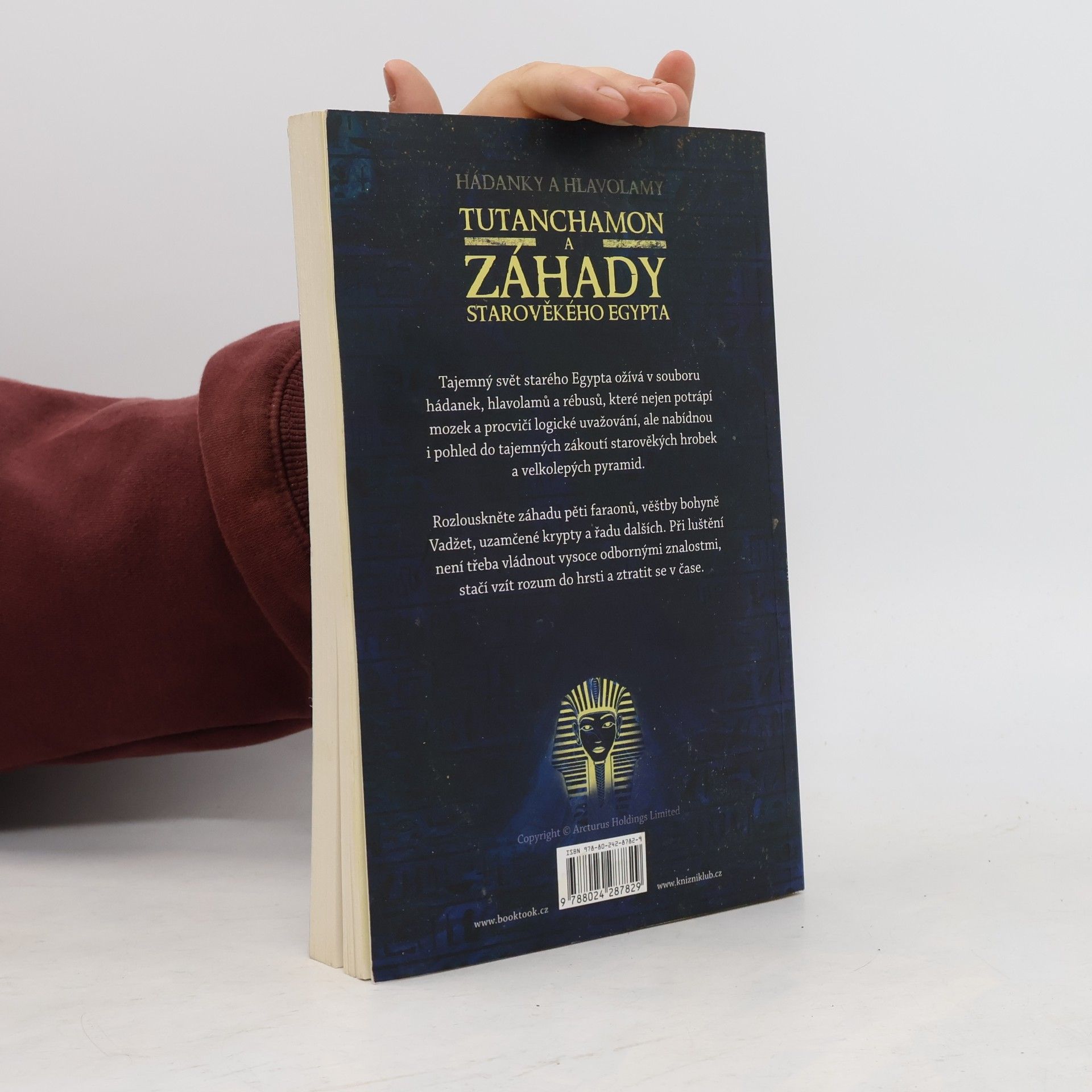 Gareth Moore Tutanchamon a záhady starověkého Egypta