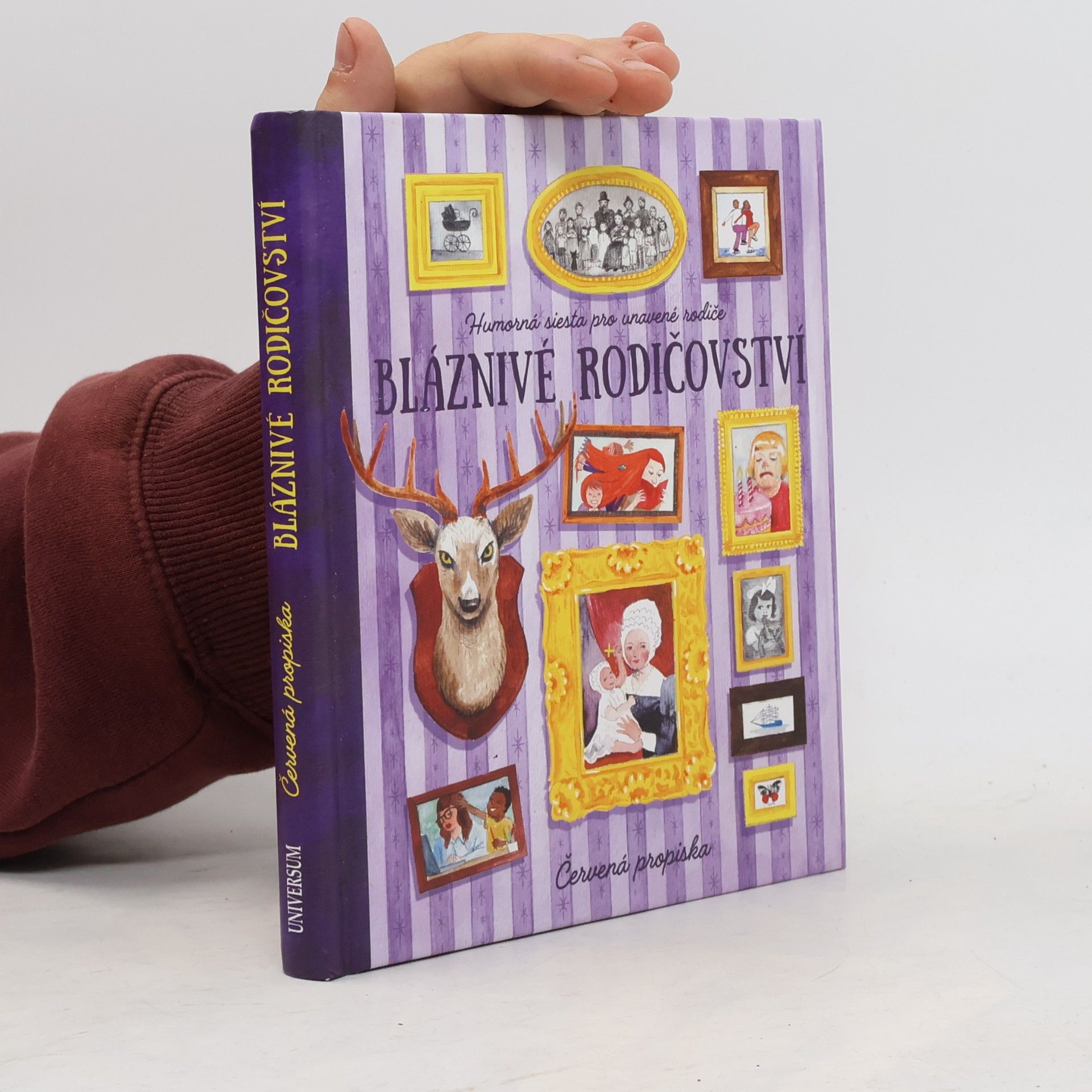 Kolektív autorov Bláznivé rodičovství. Humorná siesta pro unavené rodiče