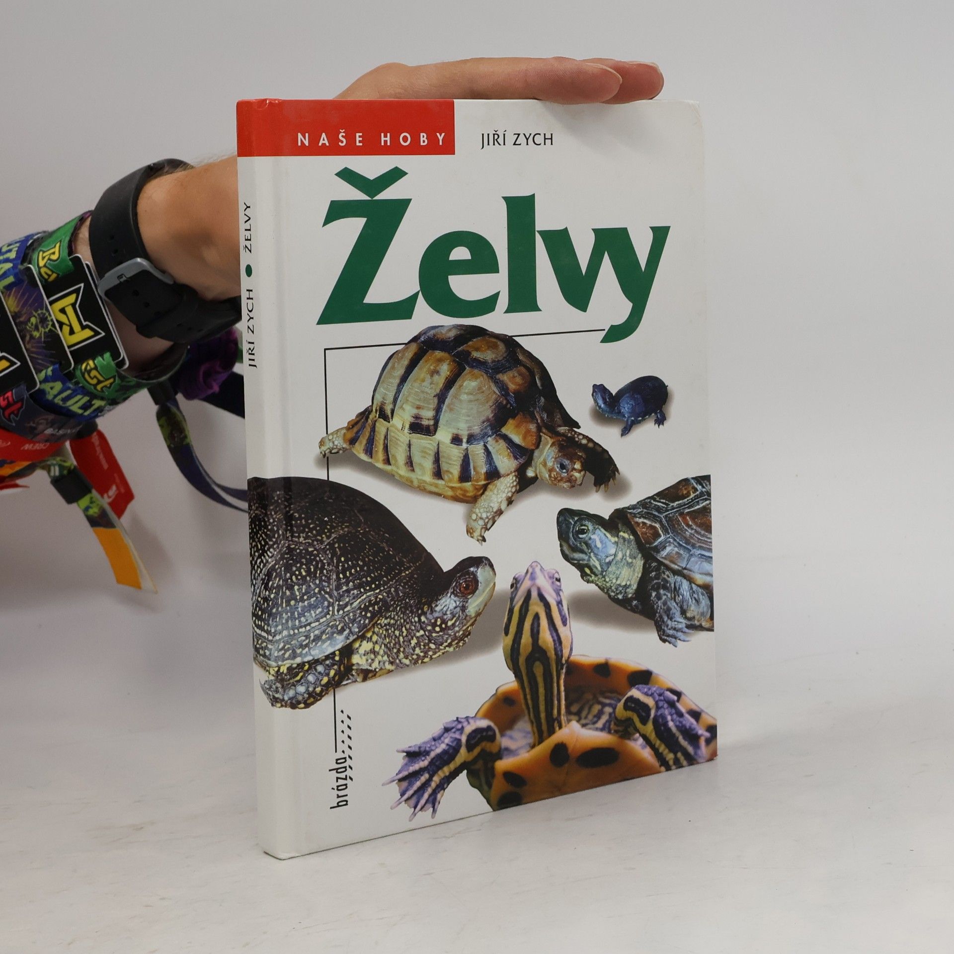 Jiří Zych Želvy