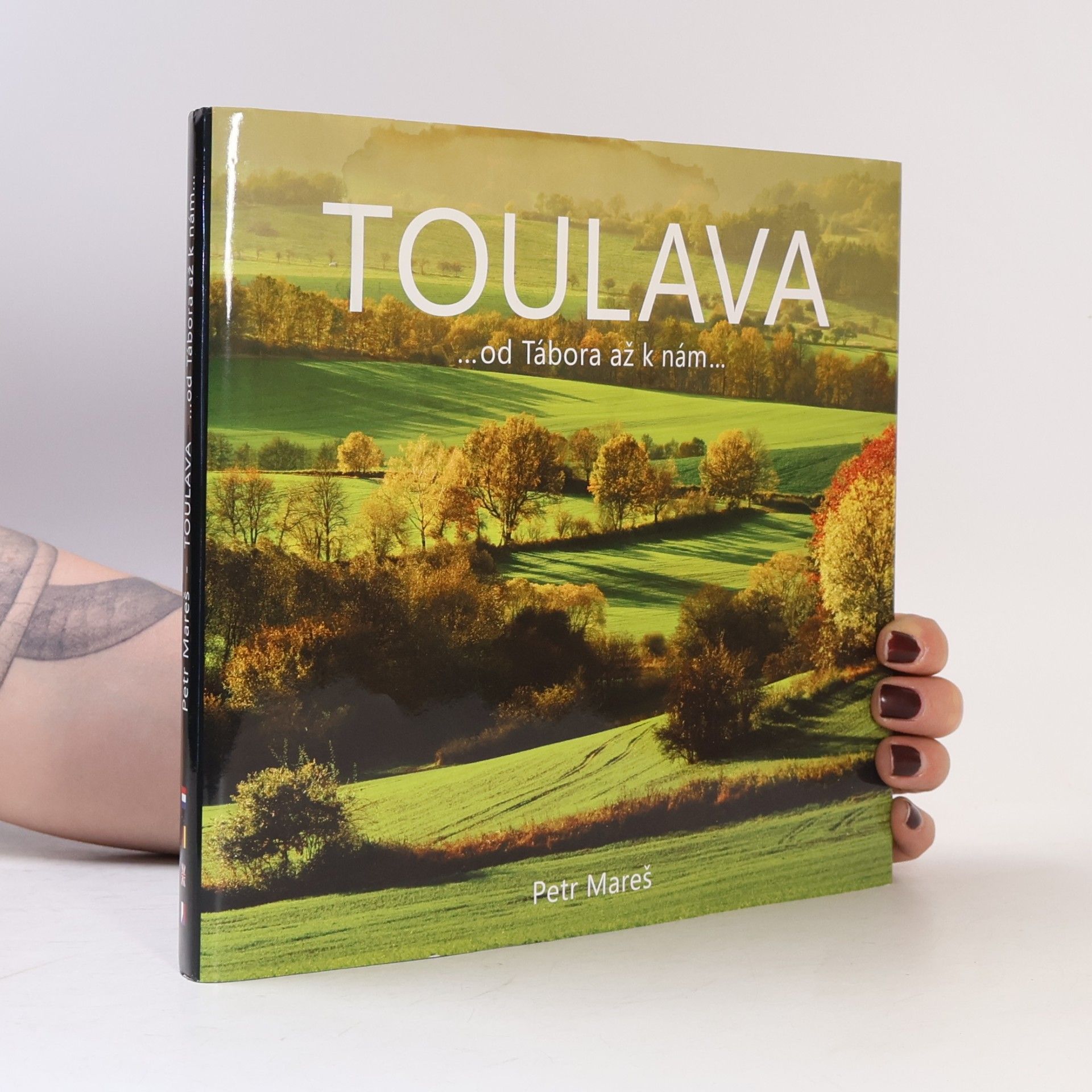Petr Mareš Toulava ... od Tábora až k nám