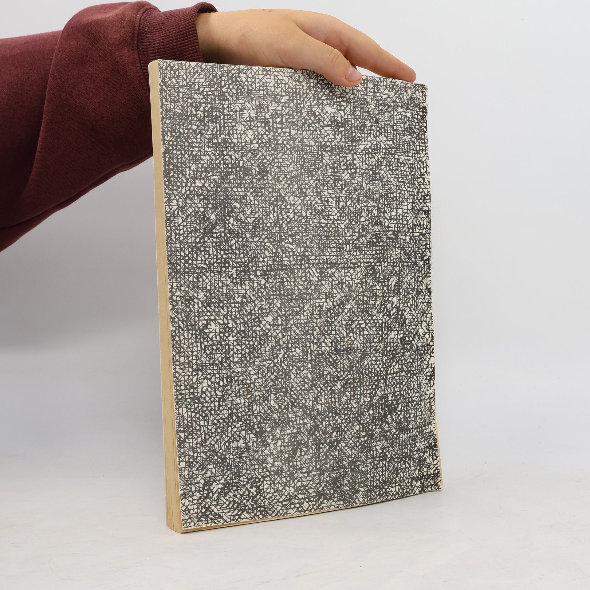 Collectif d'auteurs Polská kinematografie 1908-1988