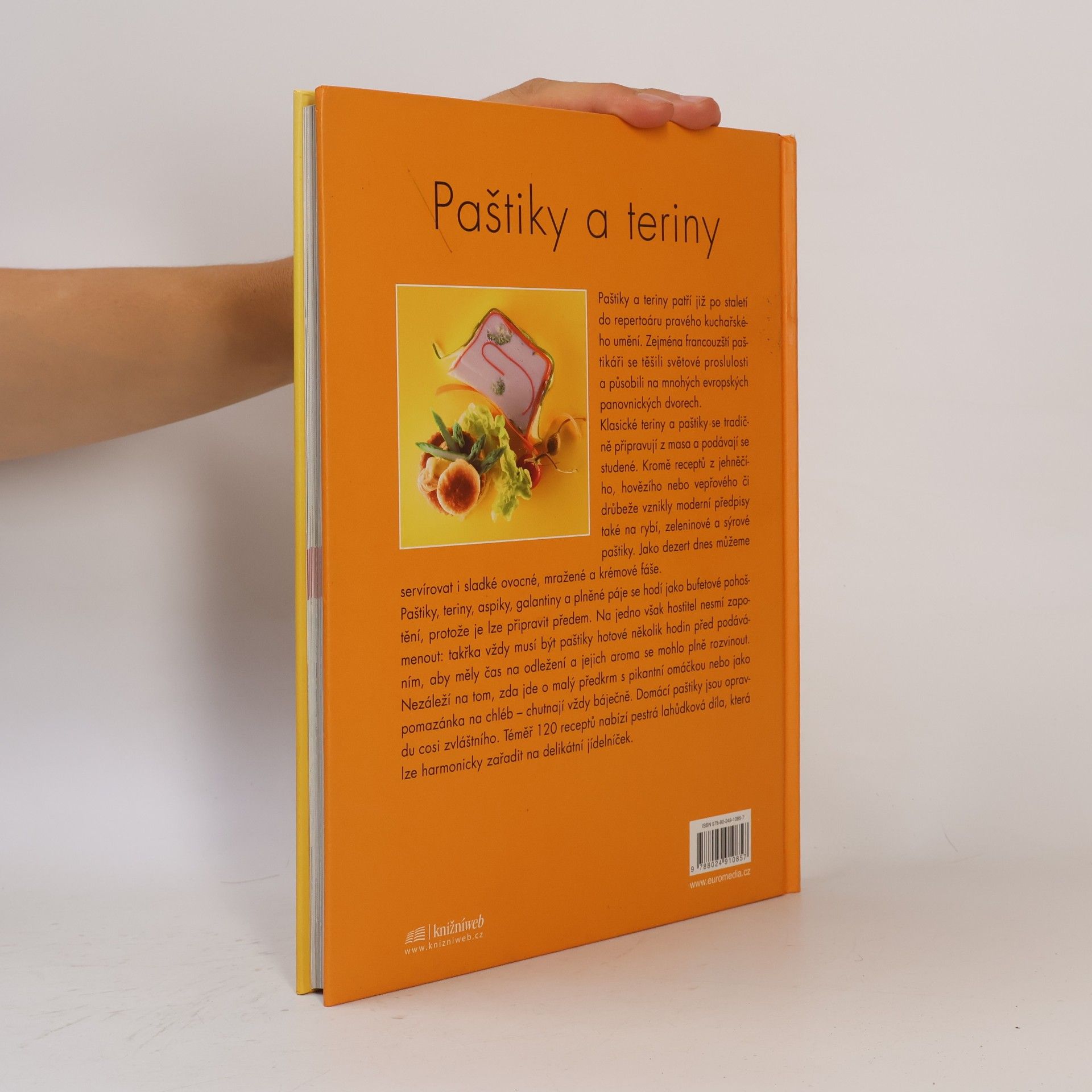 Kolektiv autorů Paštiky a teriny