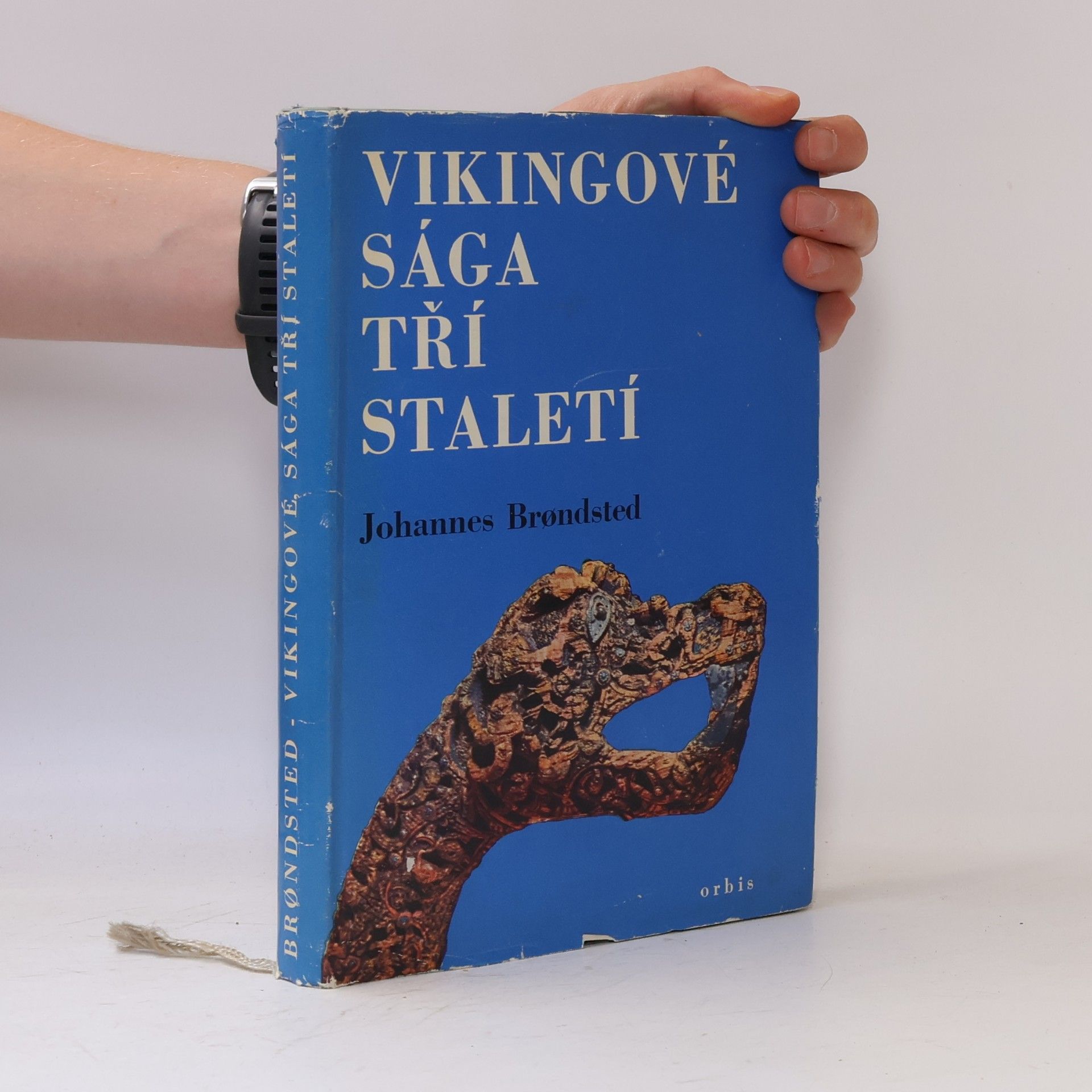 Vikingové. Sága tří staletí