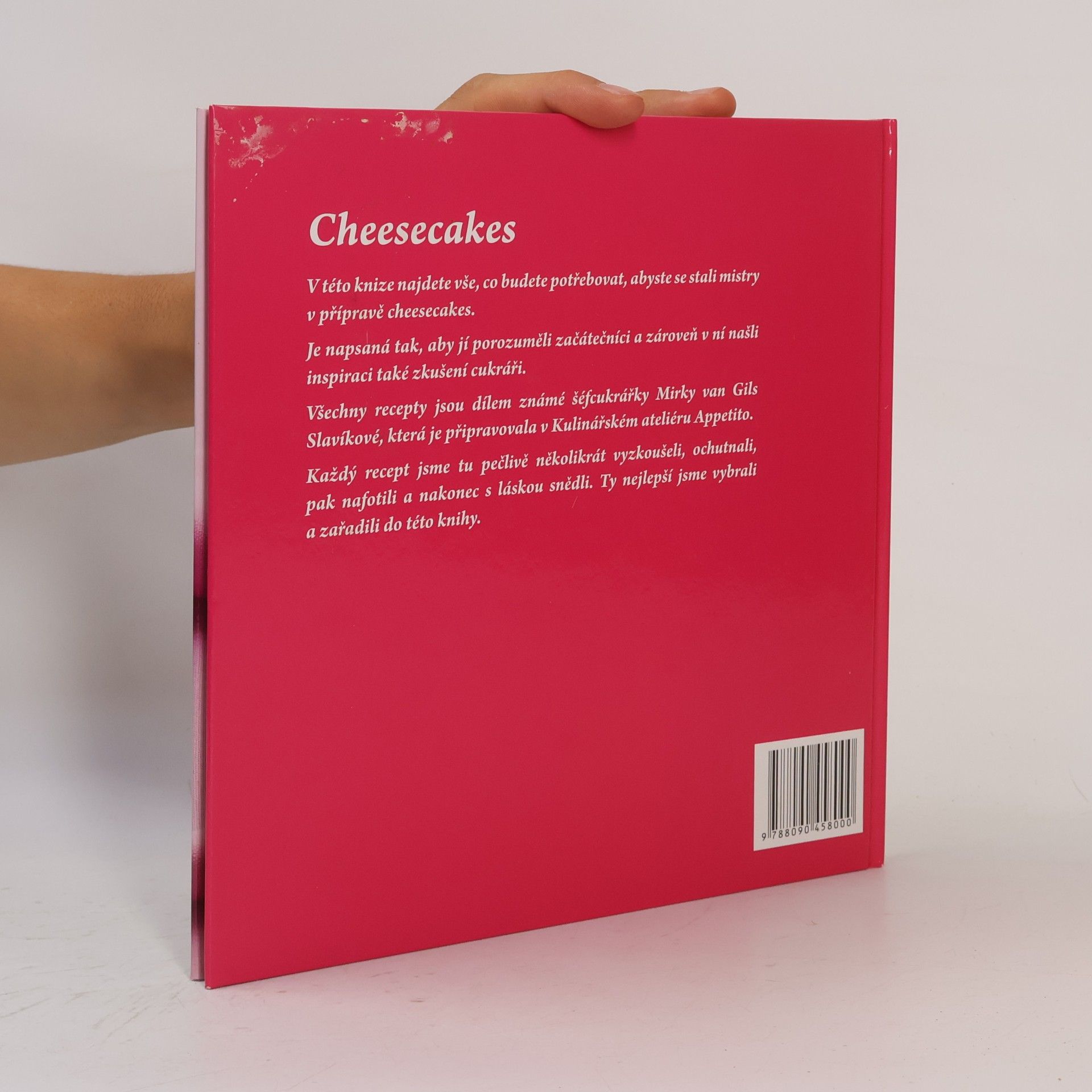 Mirka van Gils Slavíková Cheesecakes