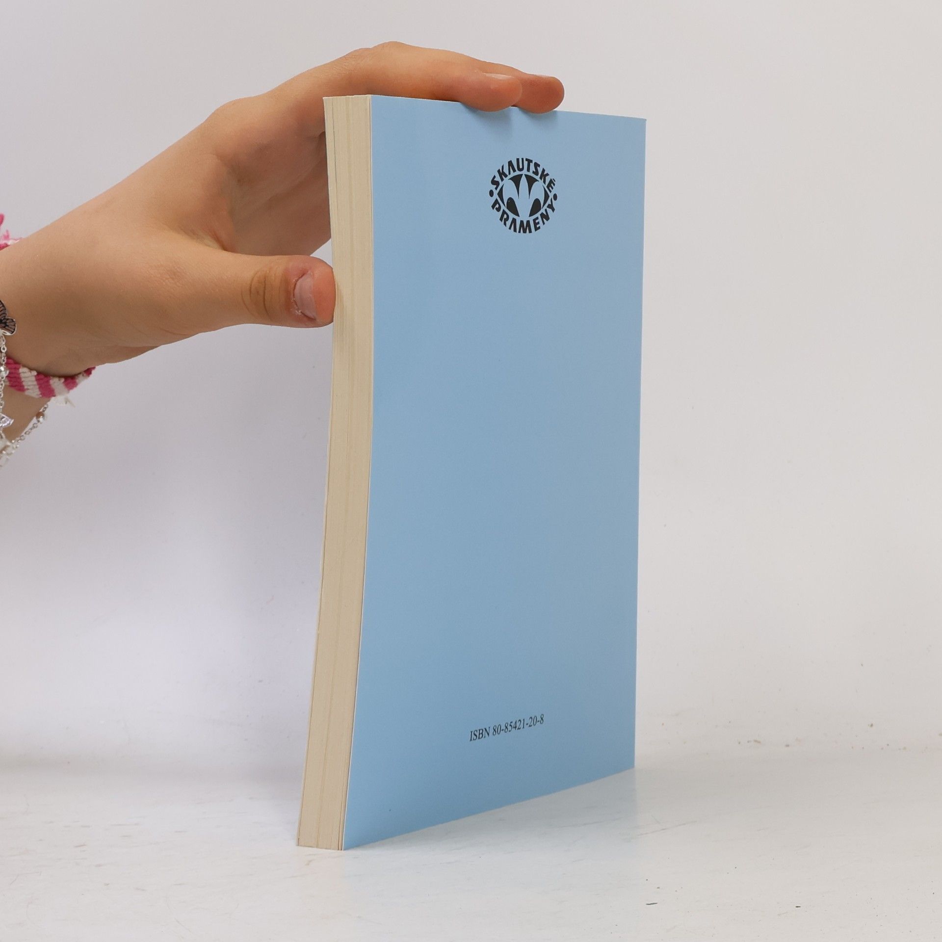 Various authors Program skautských táborů