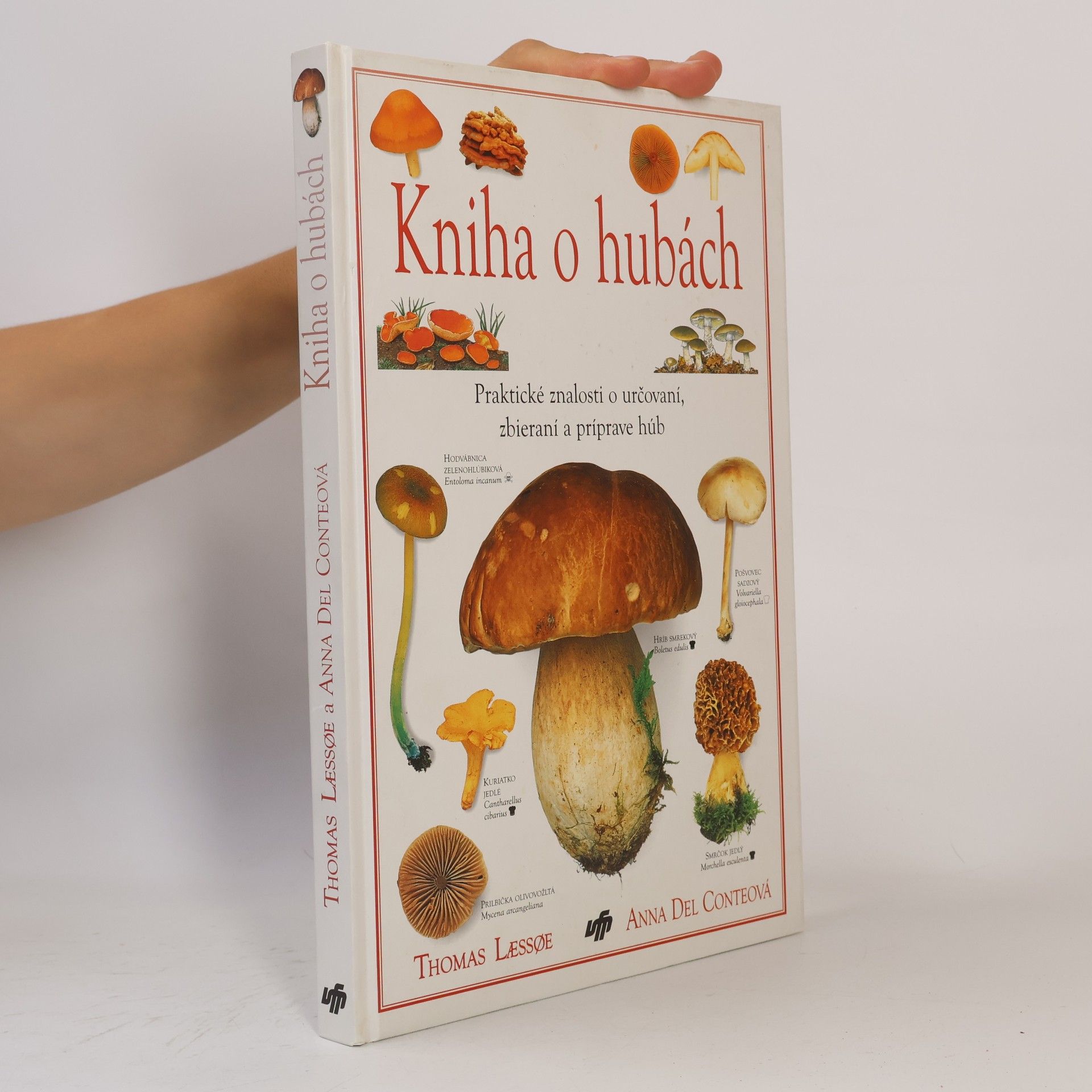 Anna Del Conte Kniha o hubách