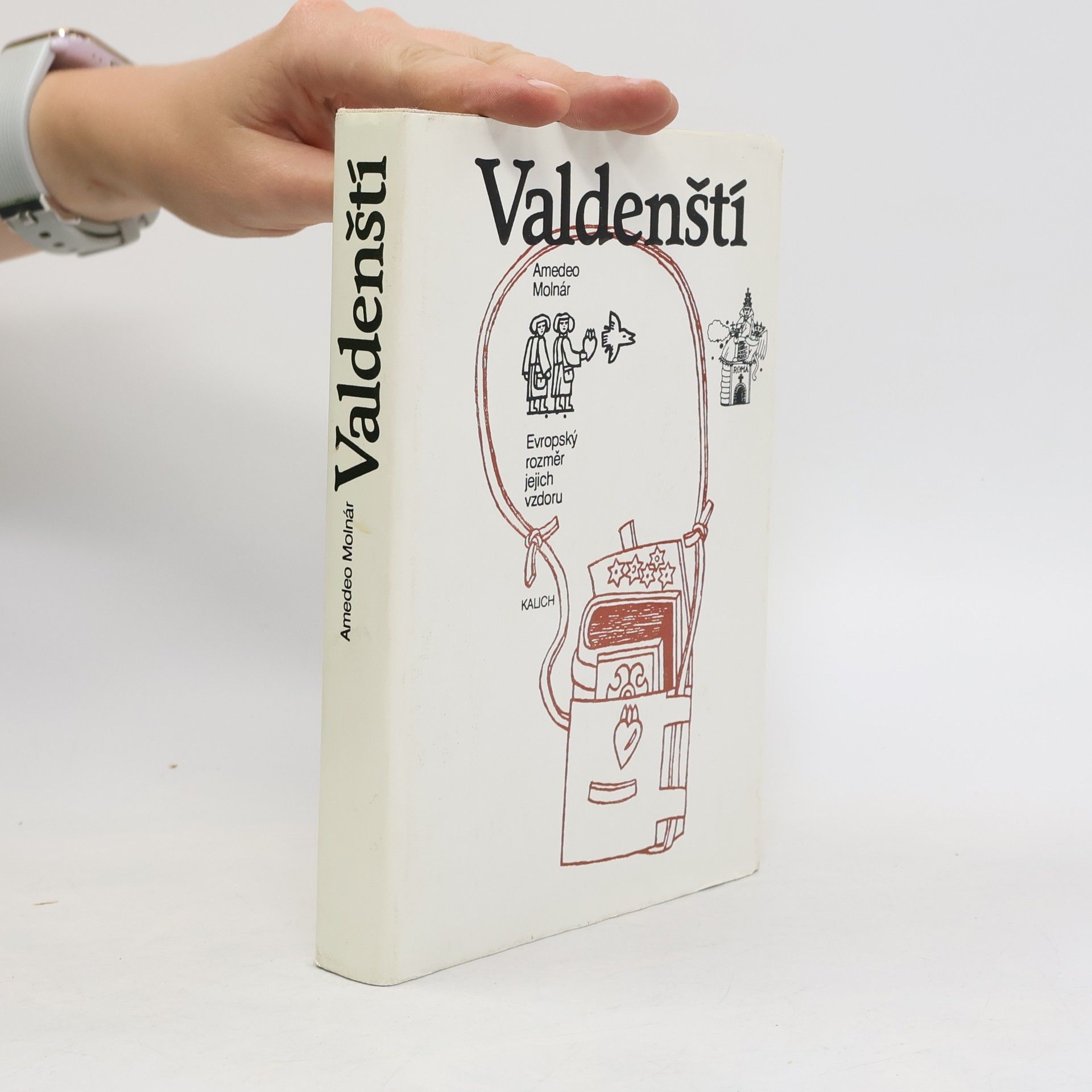 Amedeo Molnár Valdenští. Evropský rozměr jejich vzdoru