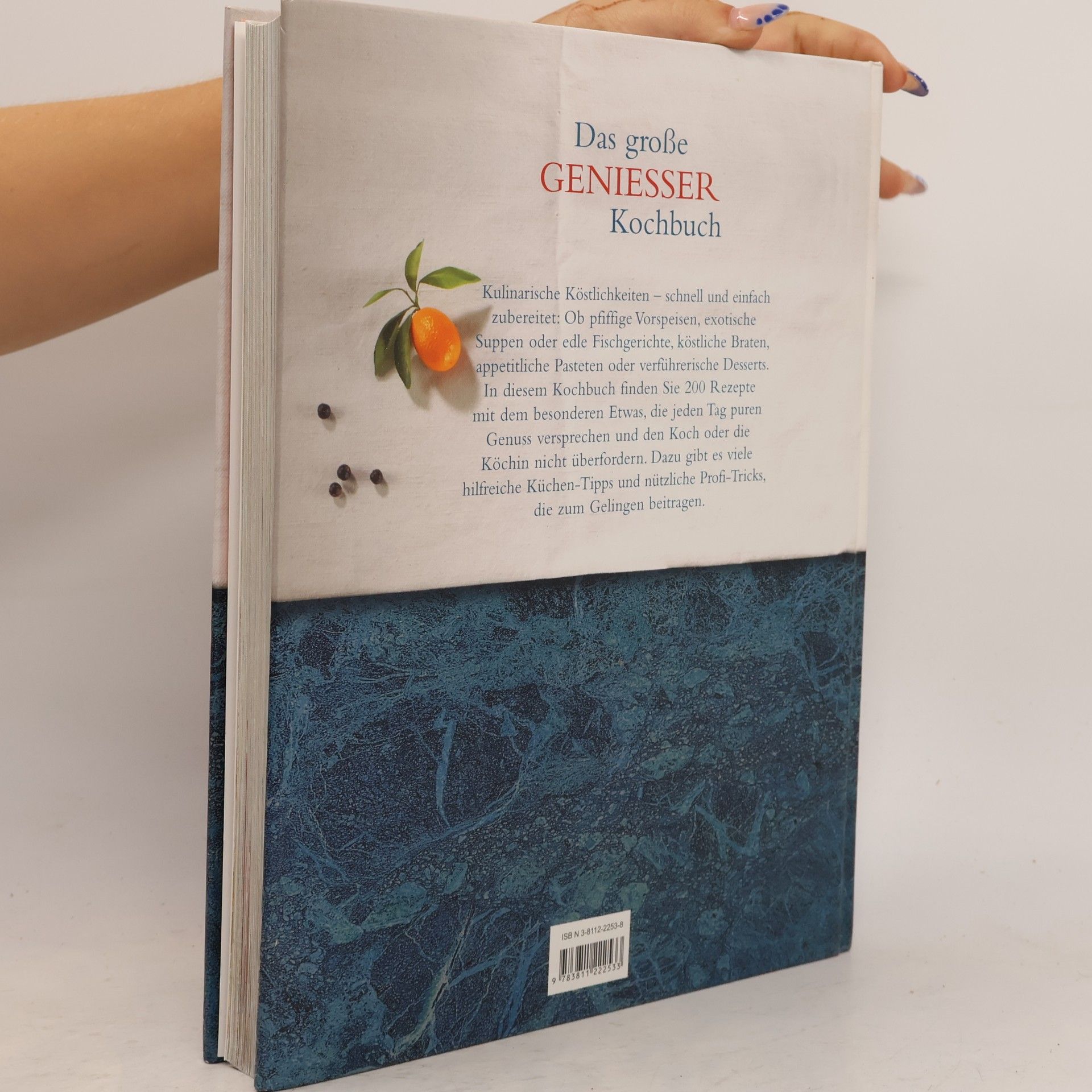 Autores varios Das große Geniesser Kochbuch