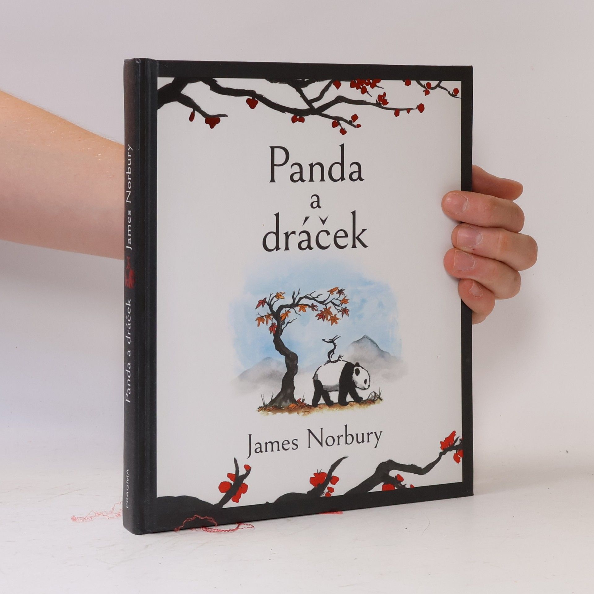 James Norbury Panda a dráček
