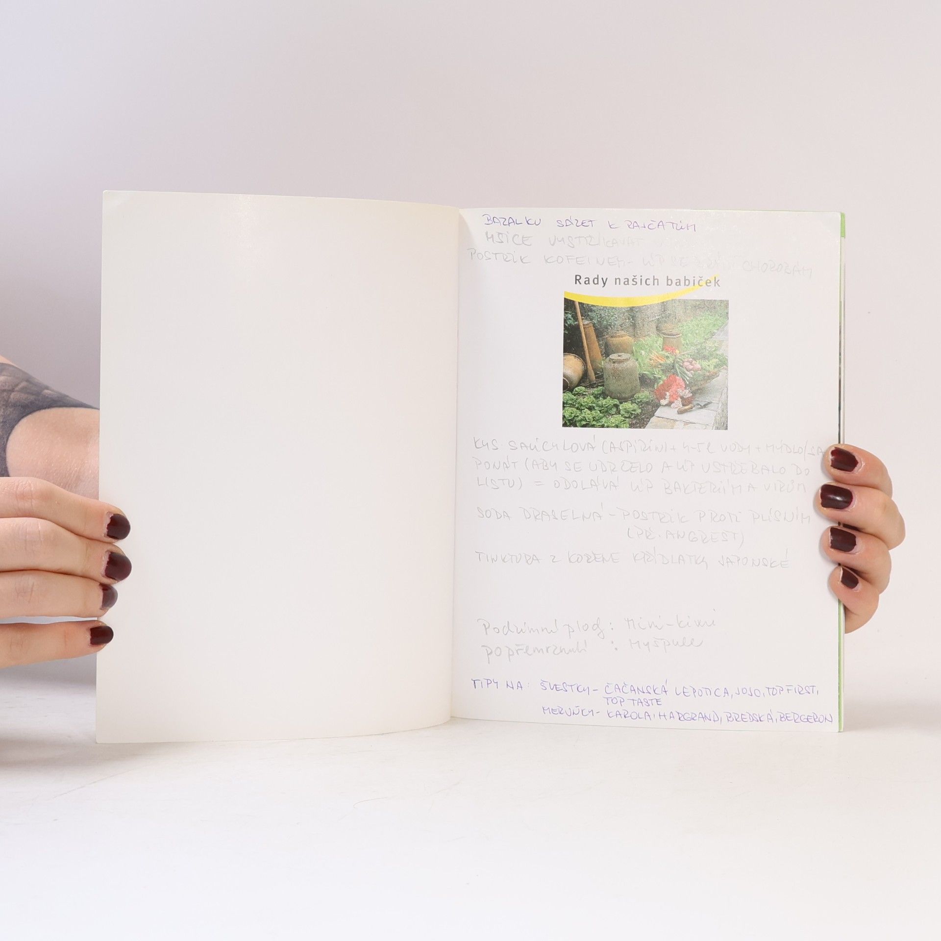 Andrea Kern Rady našich babiček
