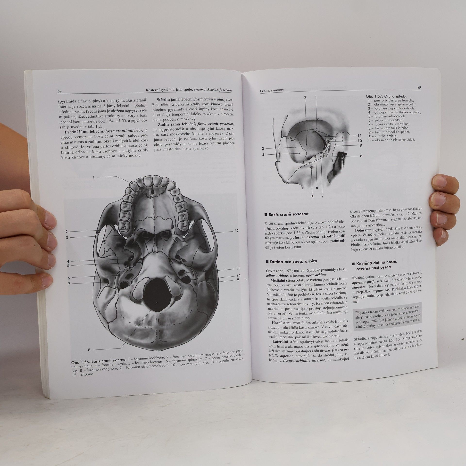 Miloš Grim Základy anatomie 1. Obecná anatomie a pohybový systém
