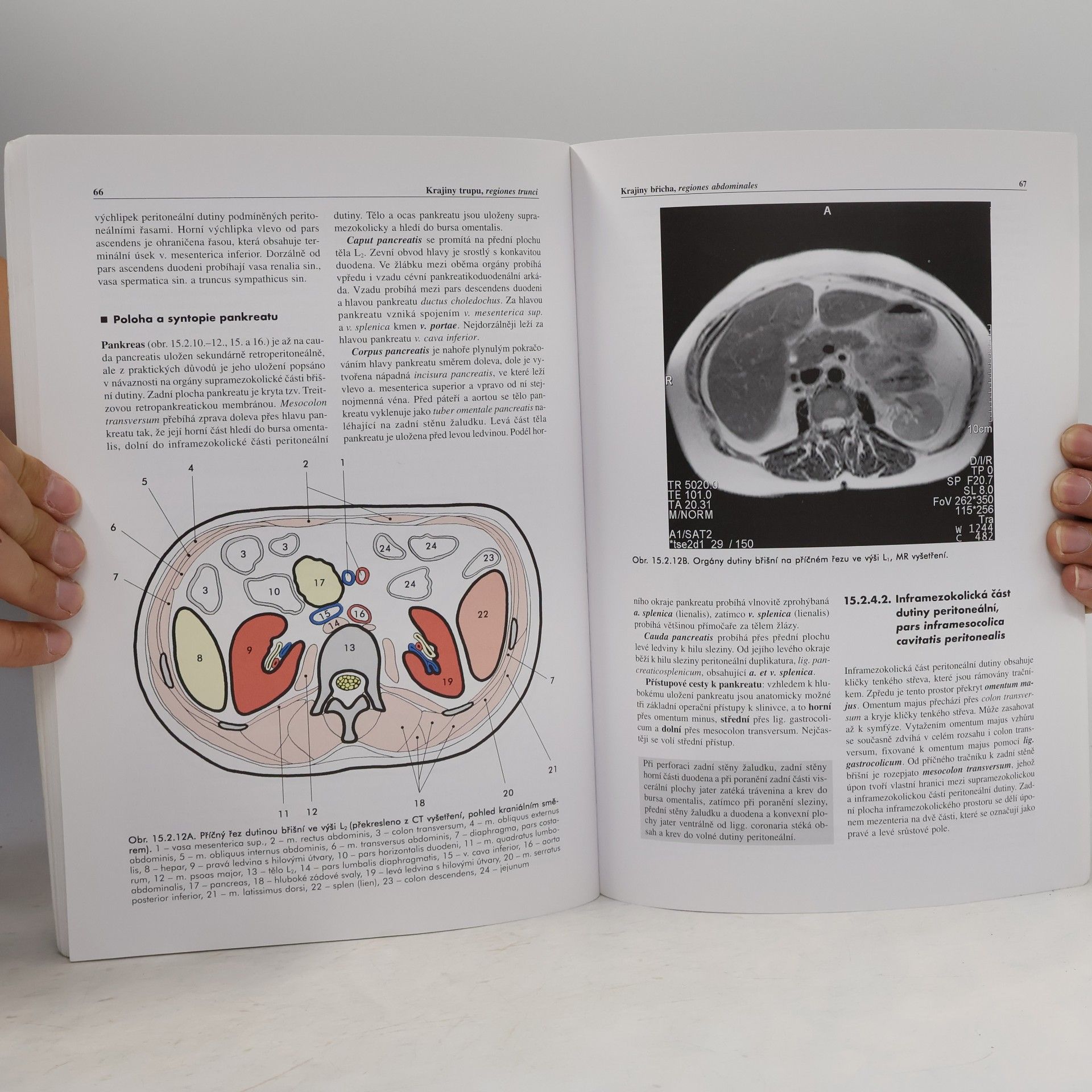 Miloš Grim Základy anatomie. 5., Anatomie krajin těla