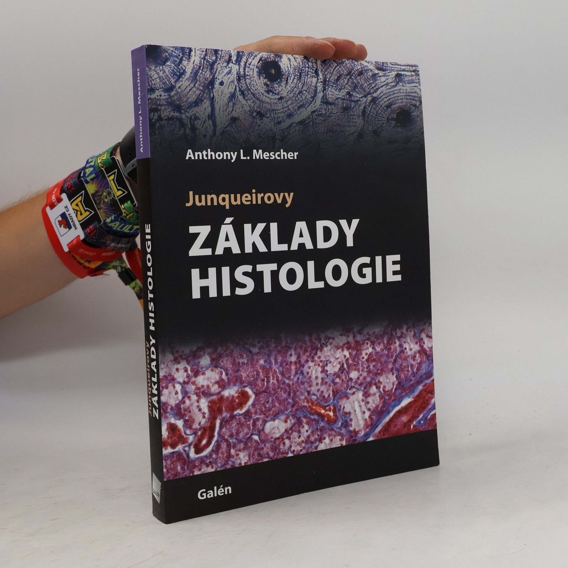 Anthony Mescher Junqueirovy základy histologie