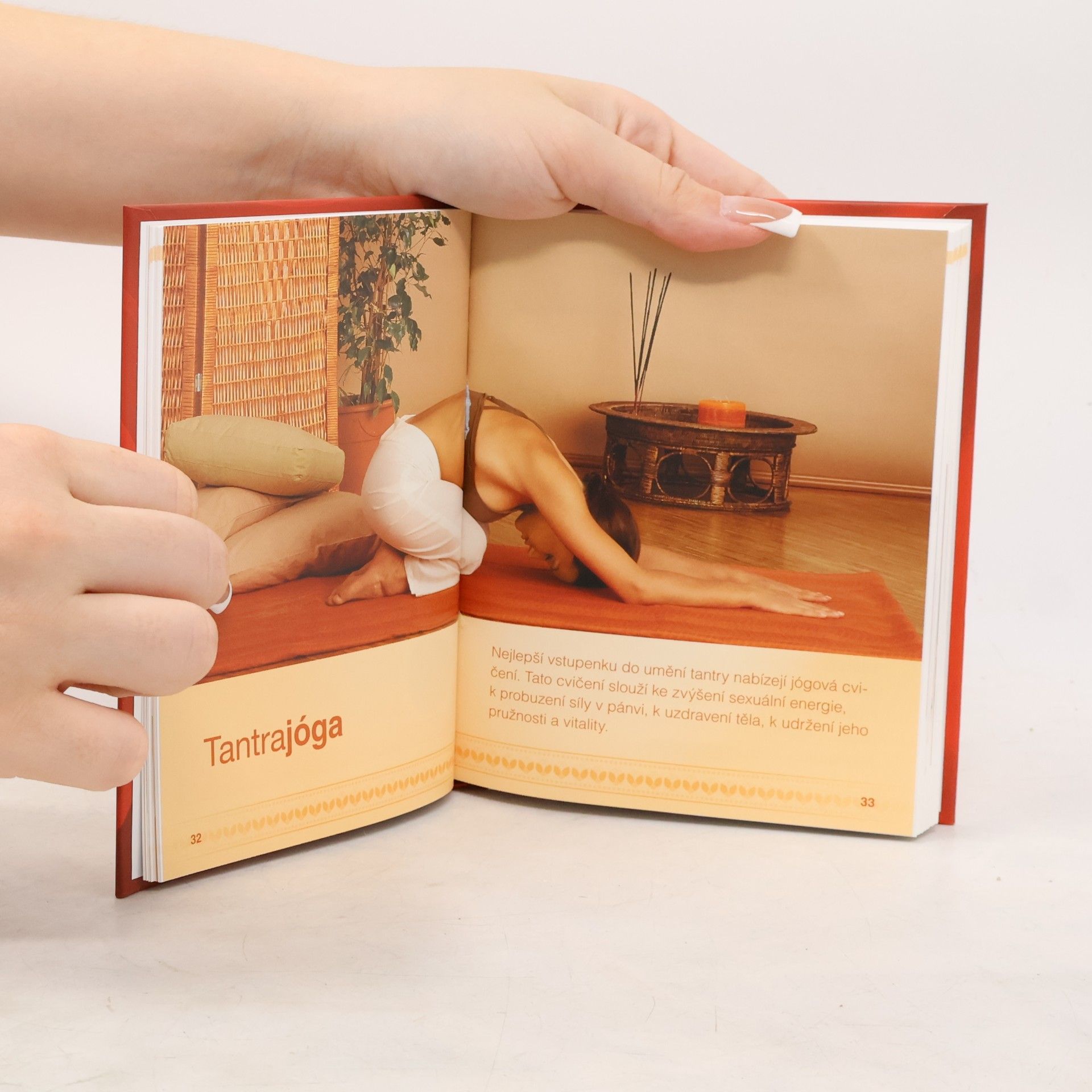 Kalashatra Govinda Tantra : eroticko-spirituální spojení s partnerem