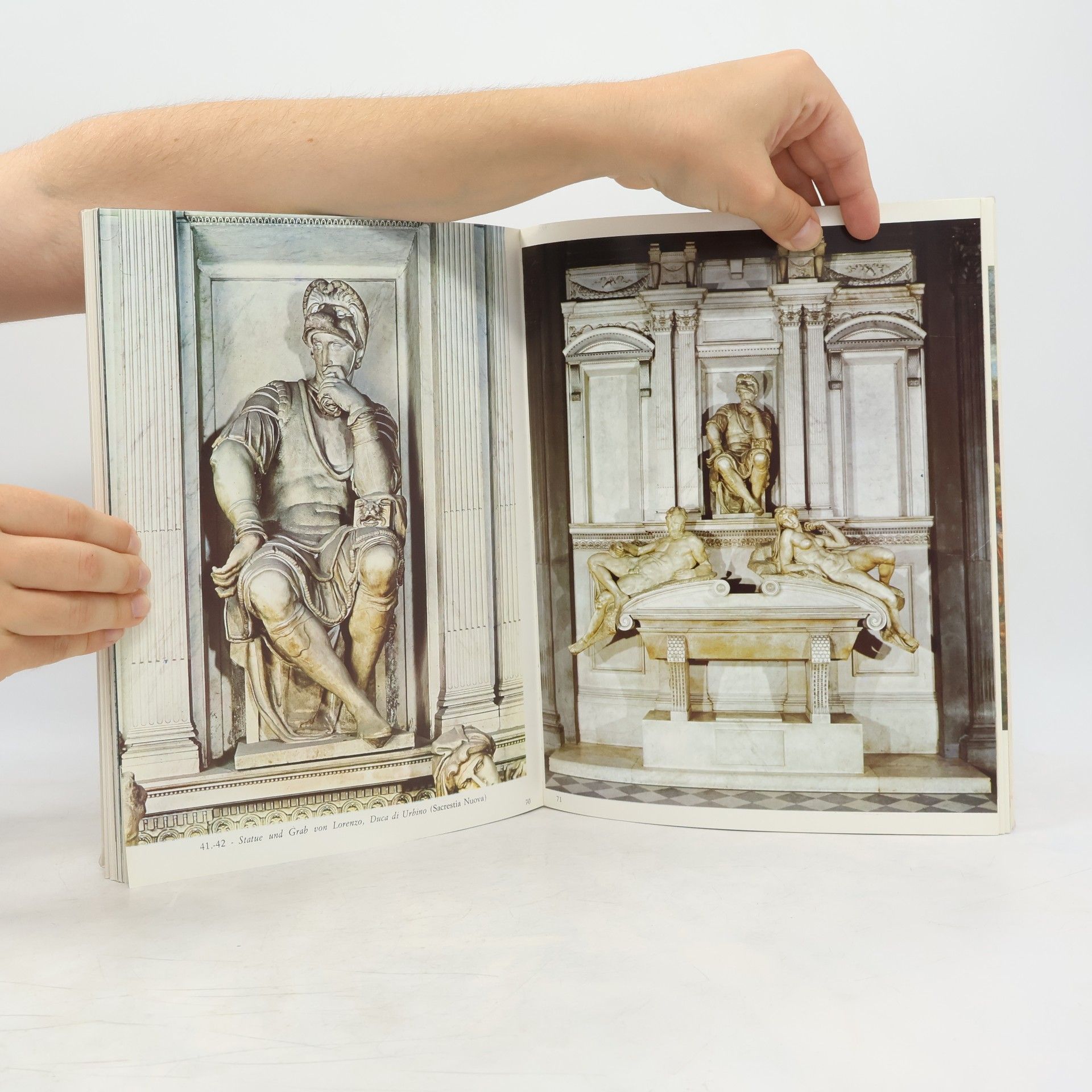 Luciano Berti Michelangelo. Sämtliche Werke