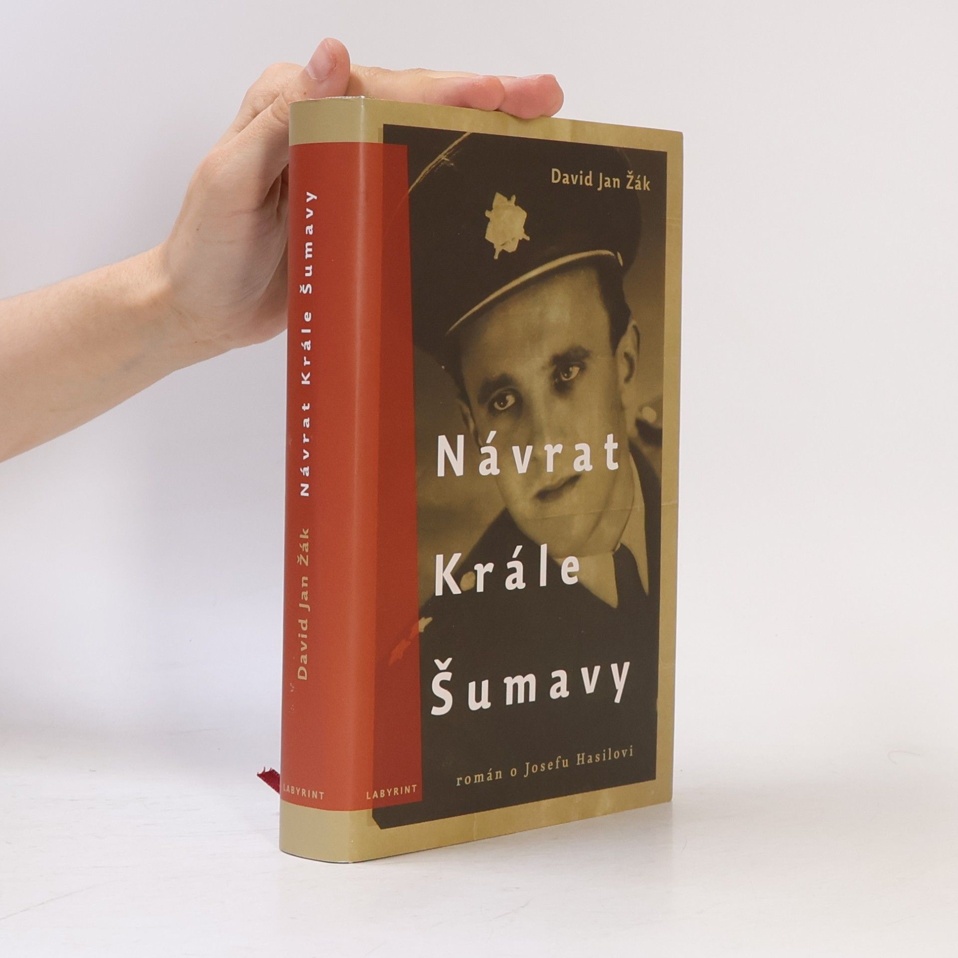 David Jan Žák Návrat Krále Šumavy