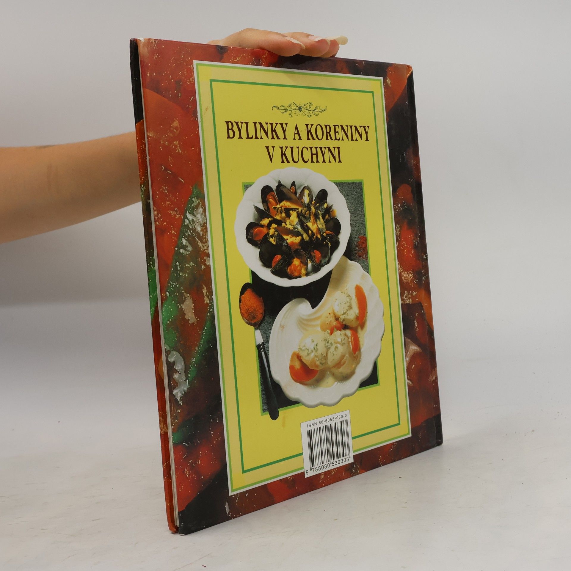Judith Lynn Ferguson Bylinky a koreniny v kuchyni