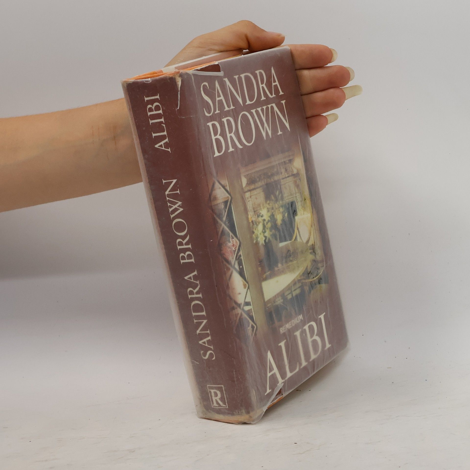 Sandra Brown Alibi