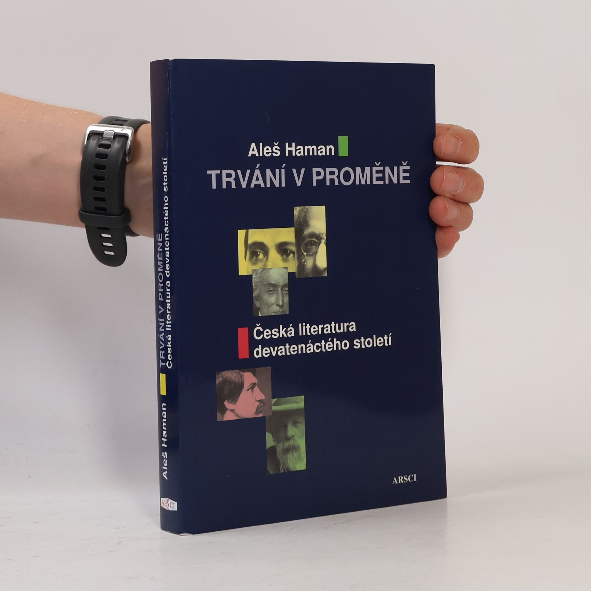 Aleš Haman Trvání v proměně. Česká literatura devatenáctého století