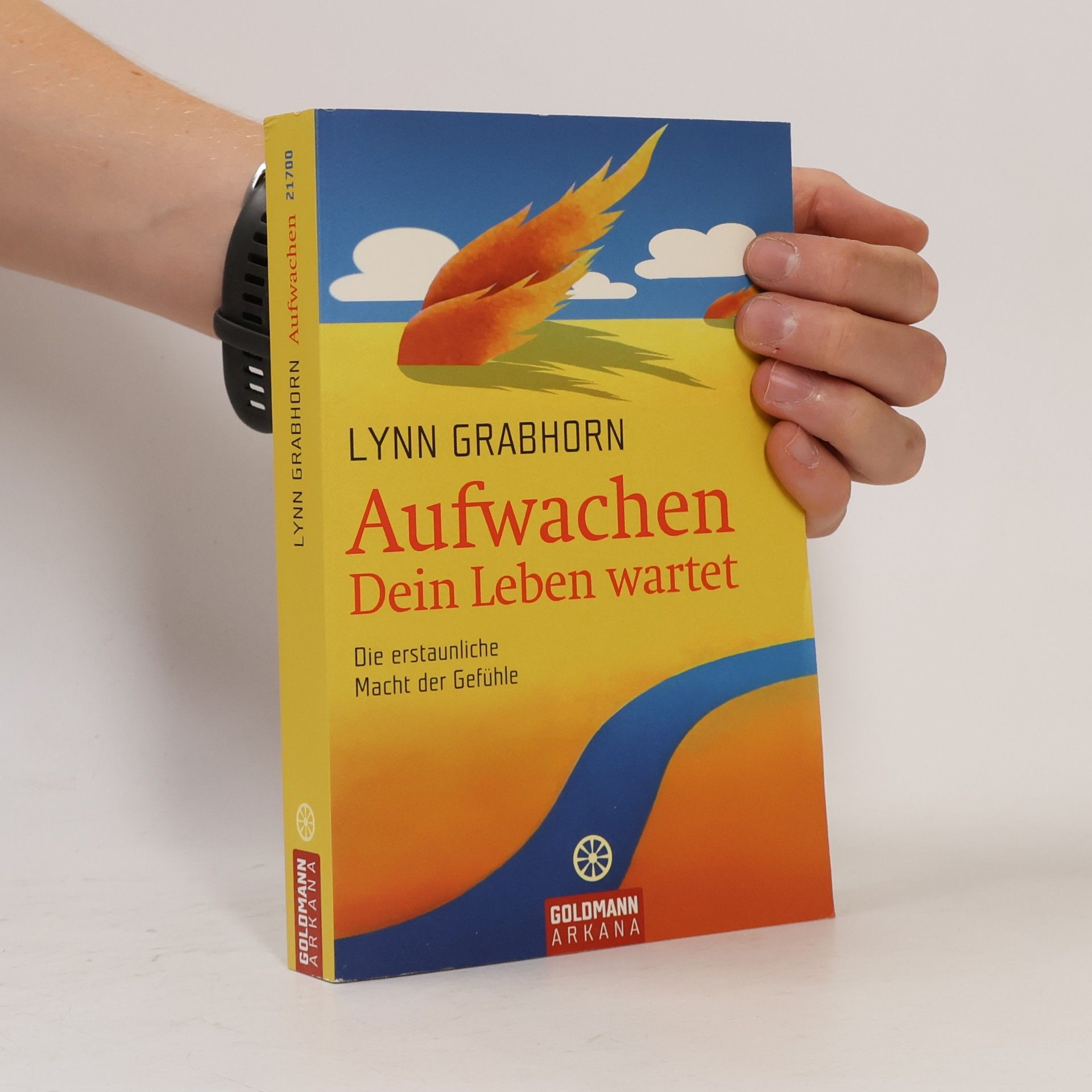 Lynn Grabhorn Aufwachen. Dein Leben wartet