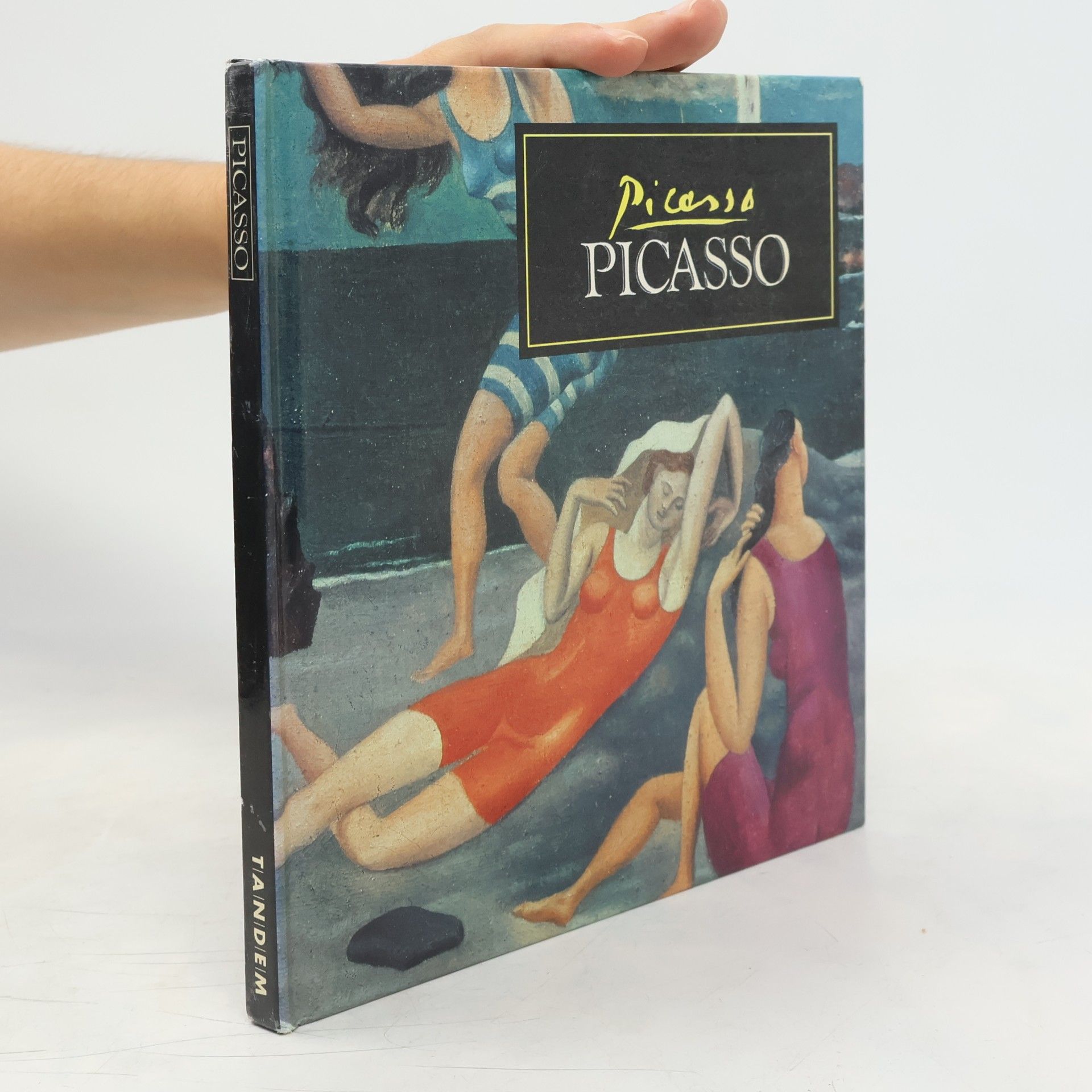 Collectif d'auteurs Picasso