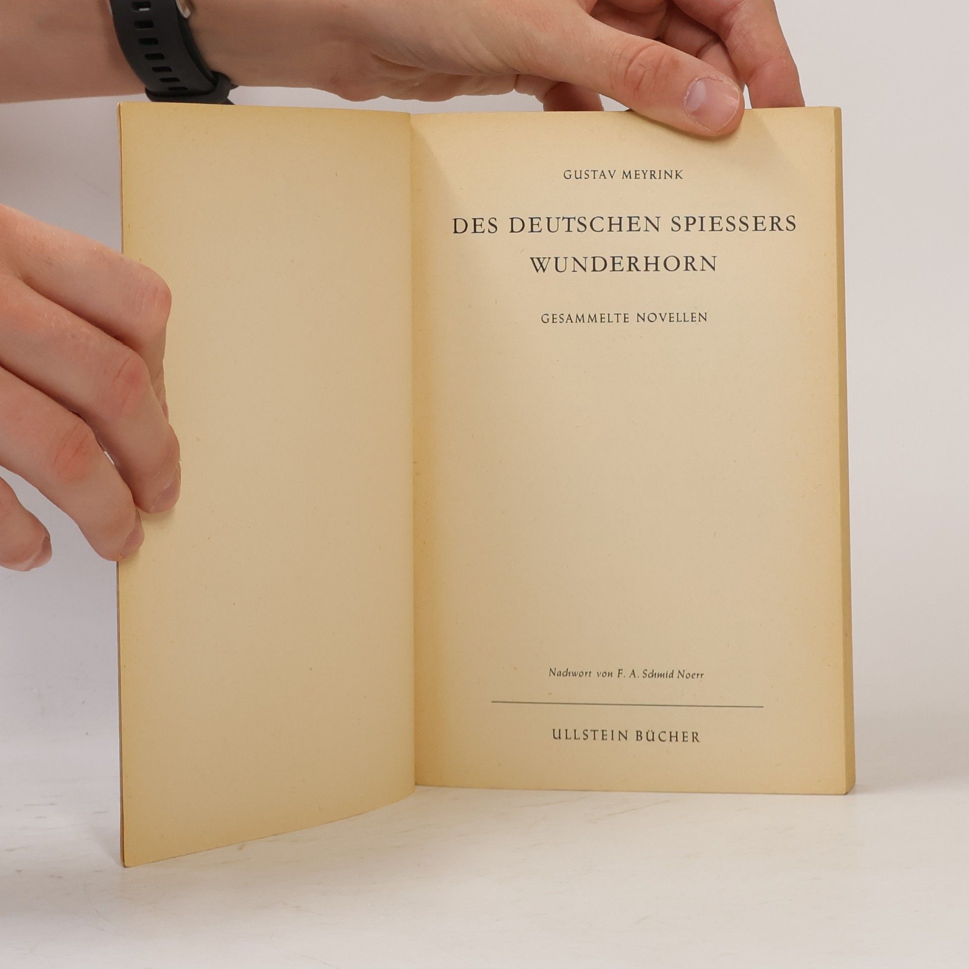 Gustav Meyrink Des deutschen Spießers Wunderhorn