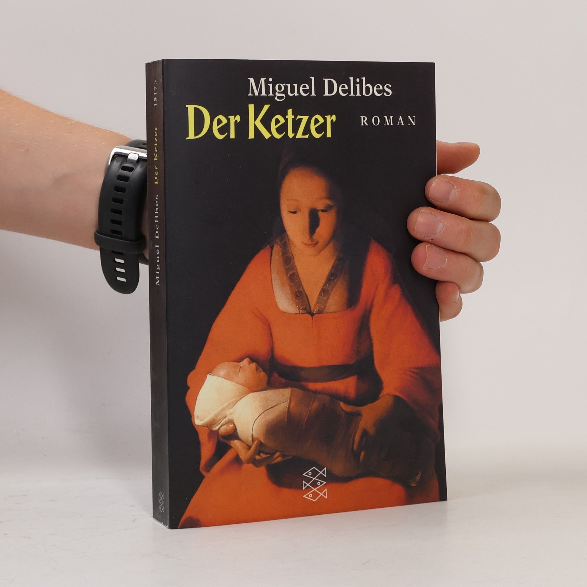 Miguel Delibes Der Ketzer