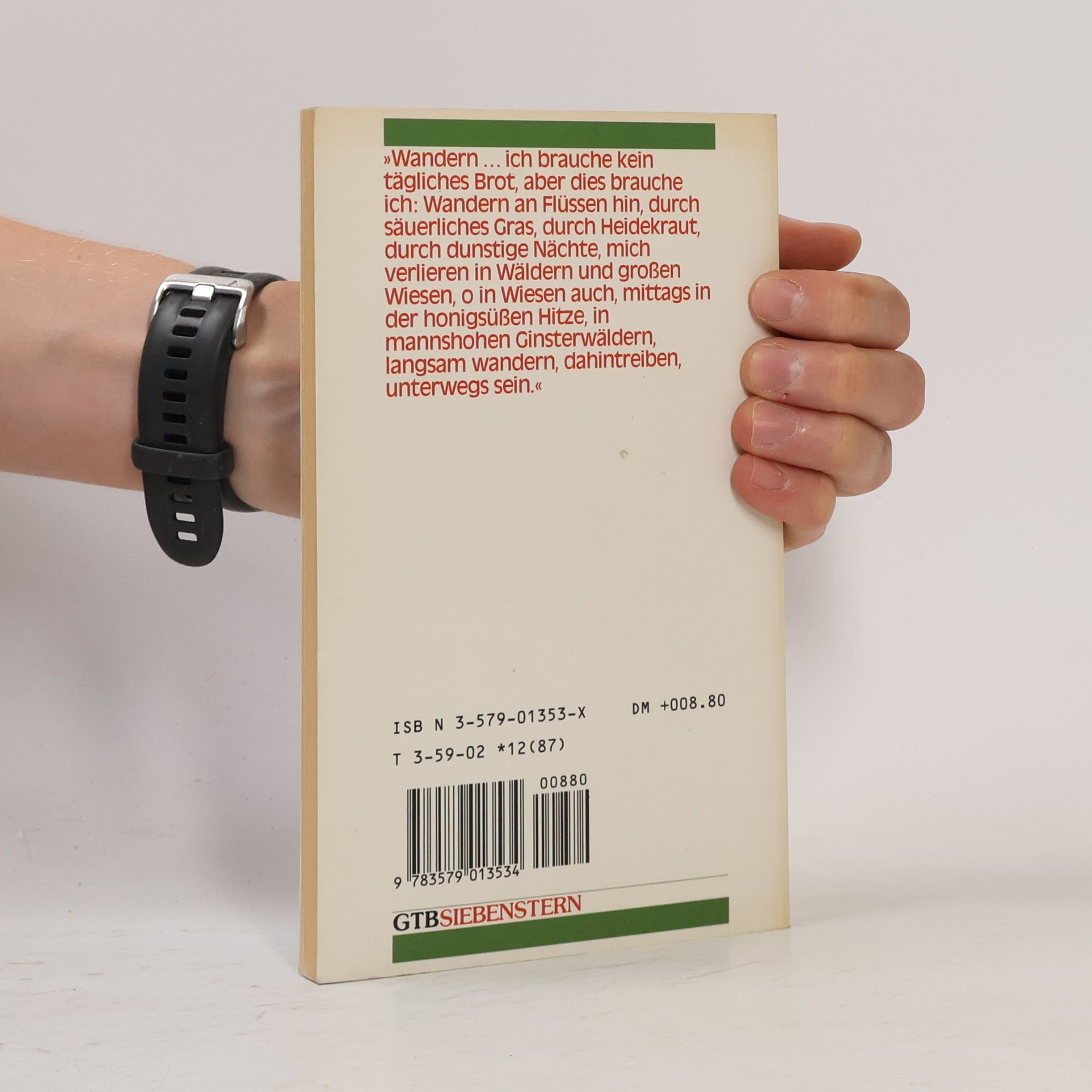 Manfred Hausmann GTB Grossdruck Bibliothek - 1353: Lampioon küßt Mädchen und kleine Birken. Großdruck.