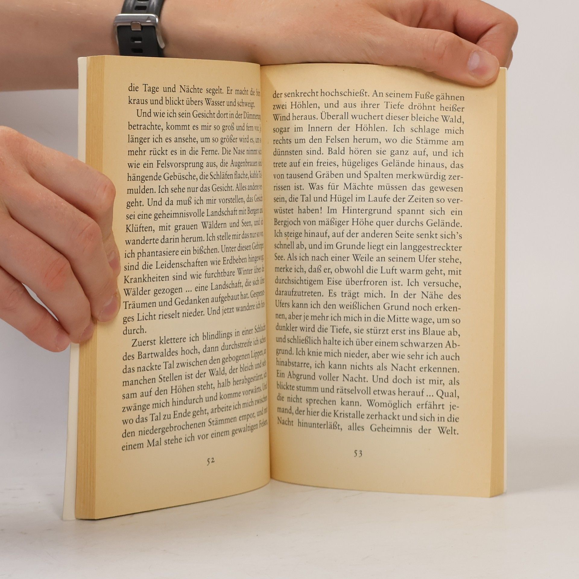 Manfred Hausmann GTB Grossdruck Bibliothek - 1353: Lampioon küßt Mädchen und kleine Birken. Großdruck.