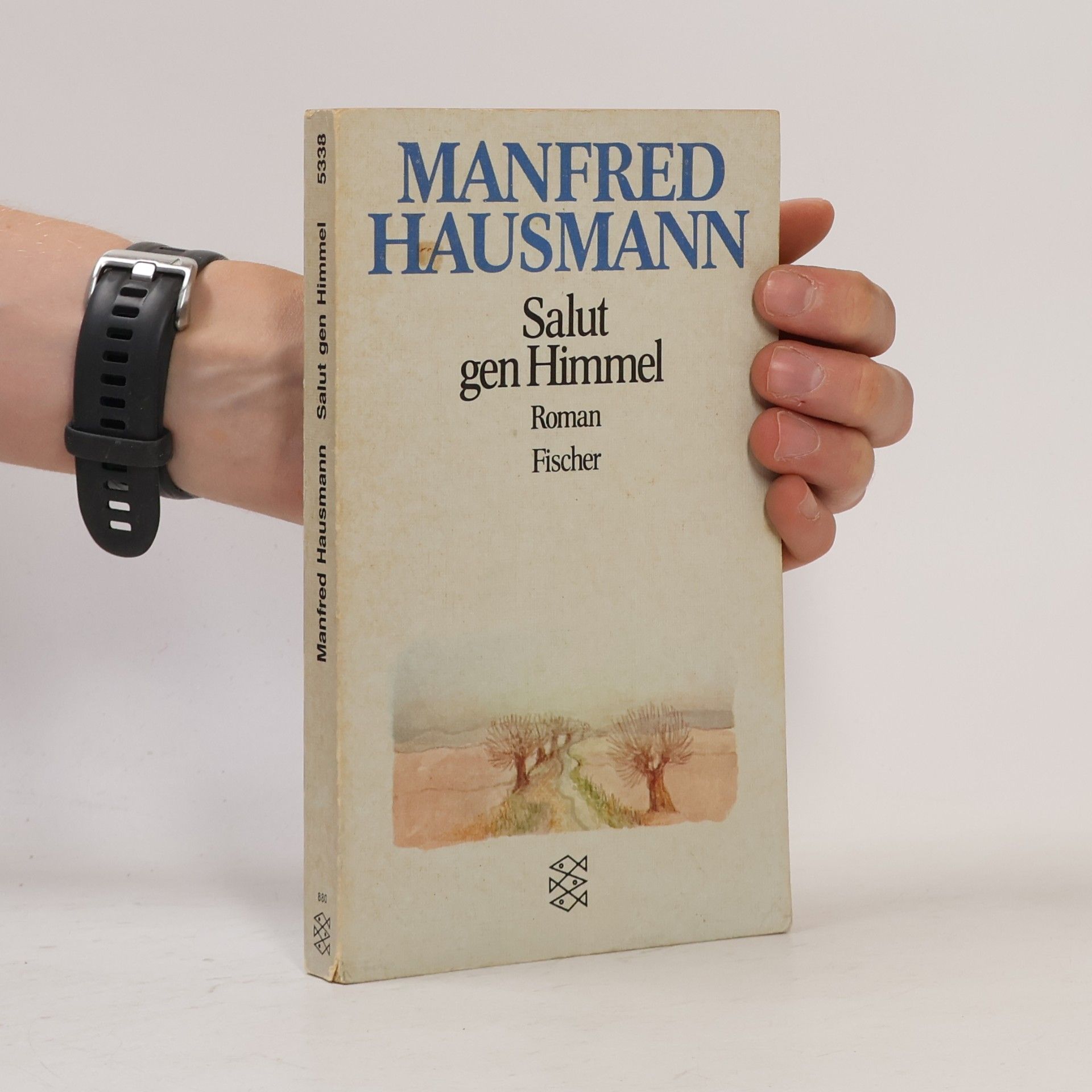 Manfred Hausmann Salut gen Himmel