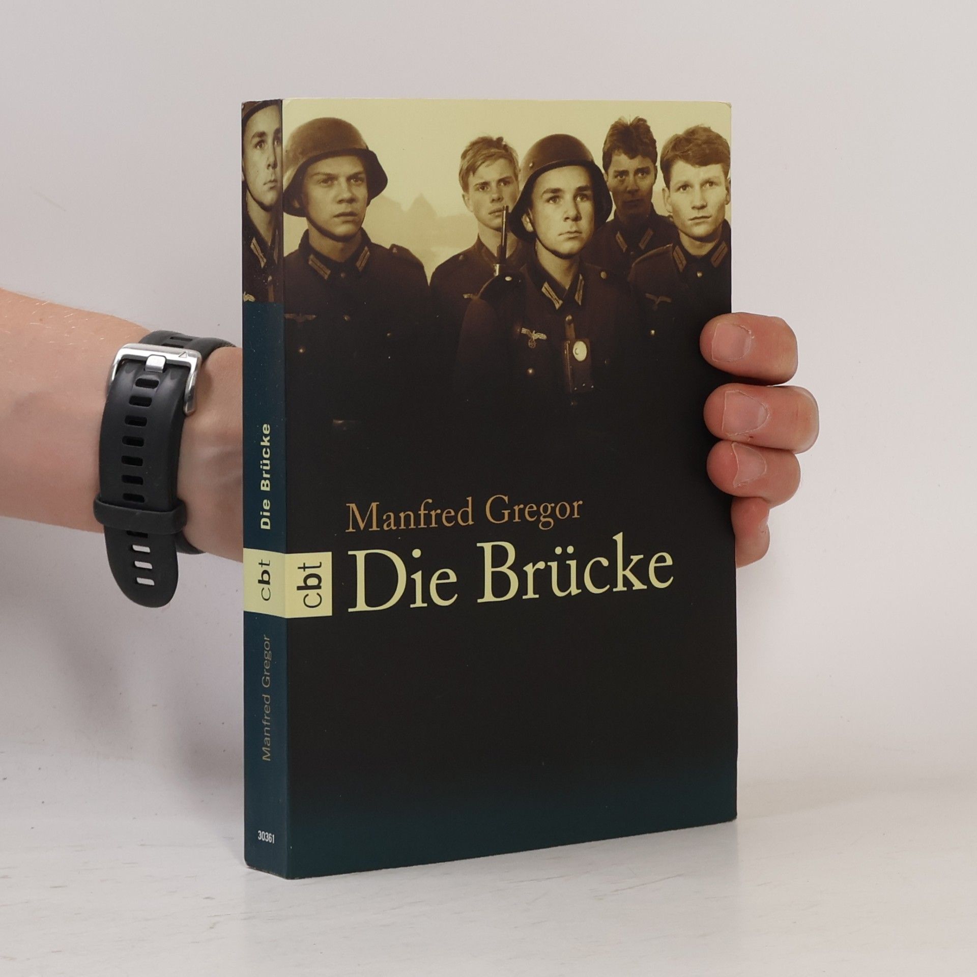 Manfred Gregor Die Brücke