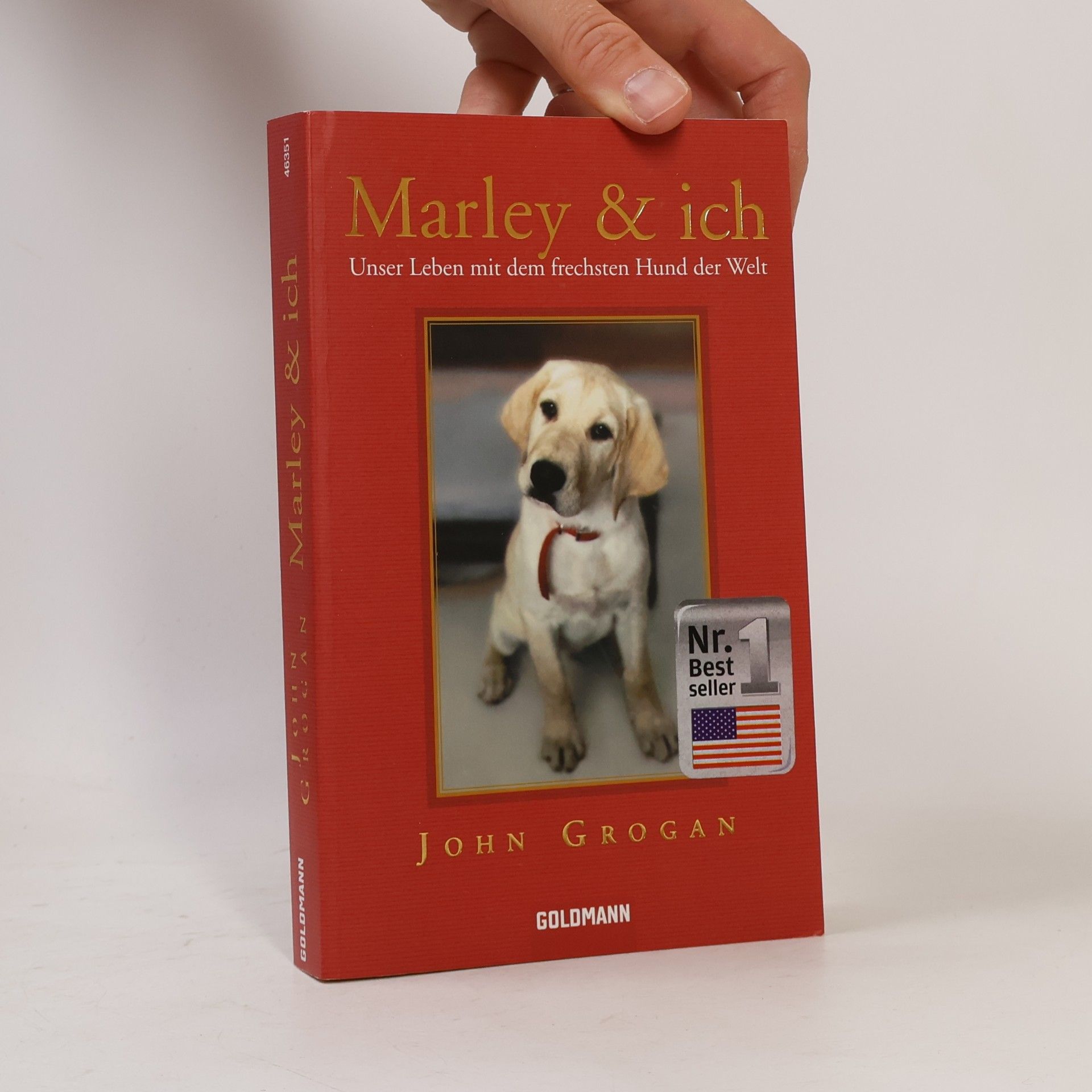 John Grogan Marley & ich