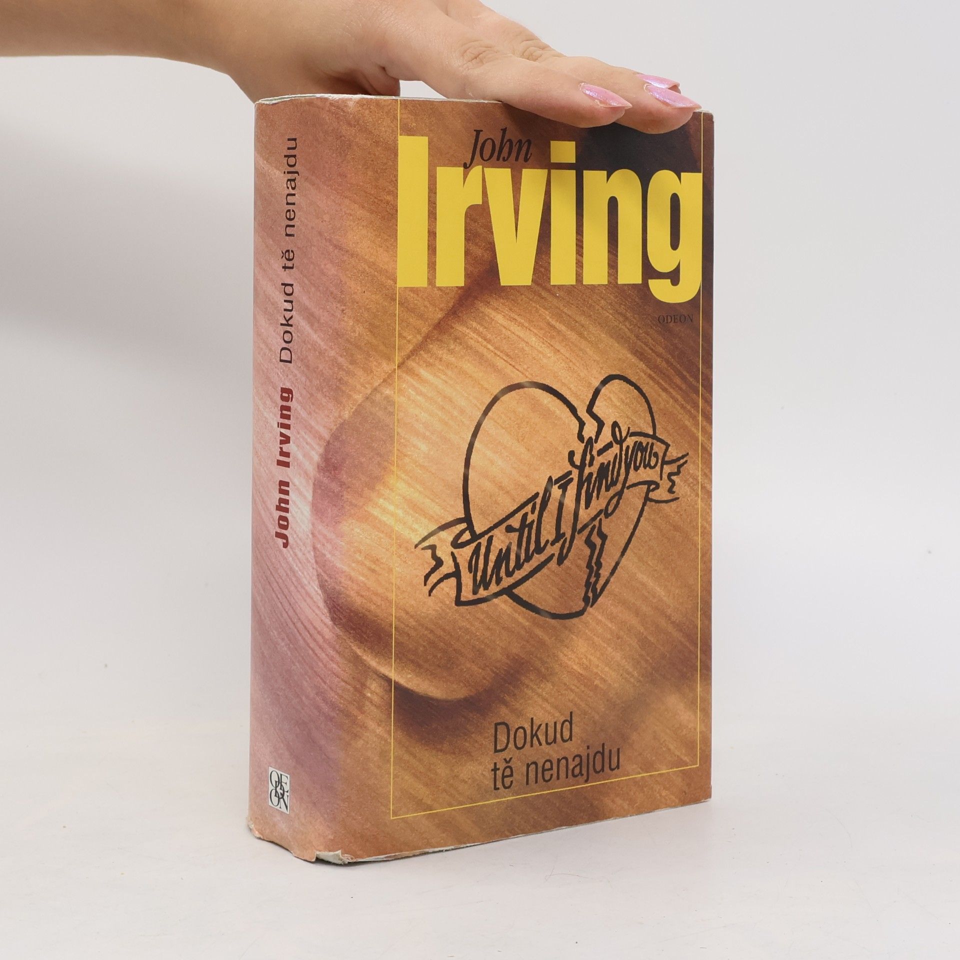 John Irving Dokud tě nenajdu