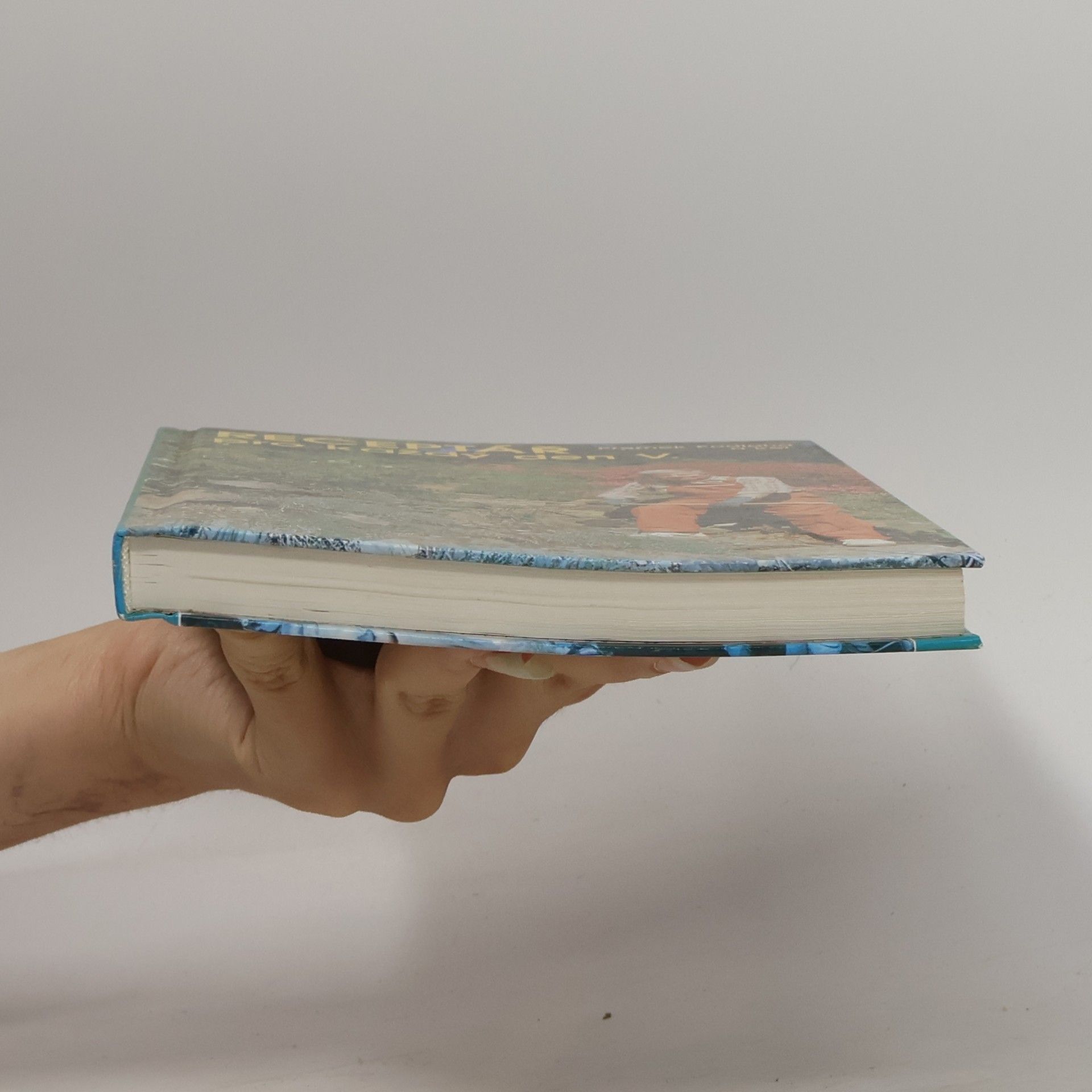 Přemek Podlaha Receptář pro každý den. V. díl