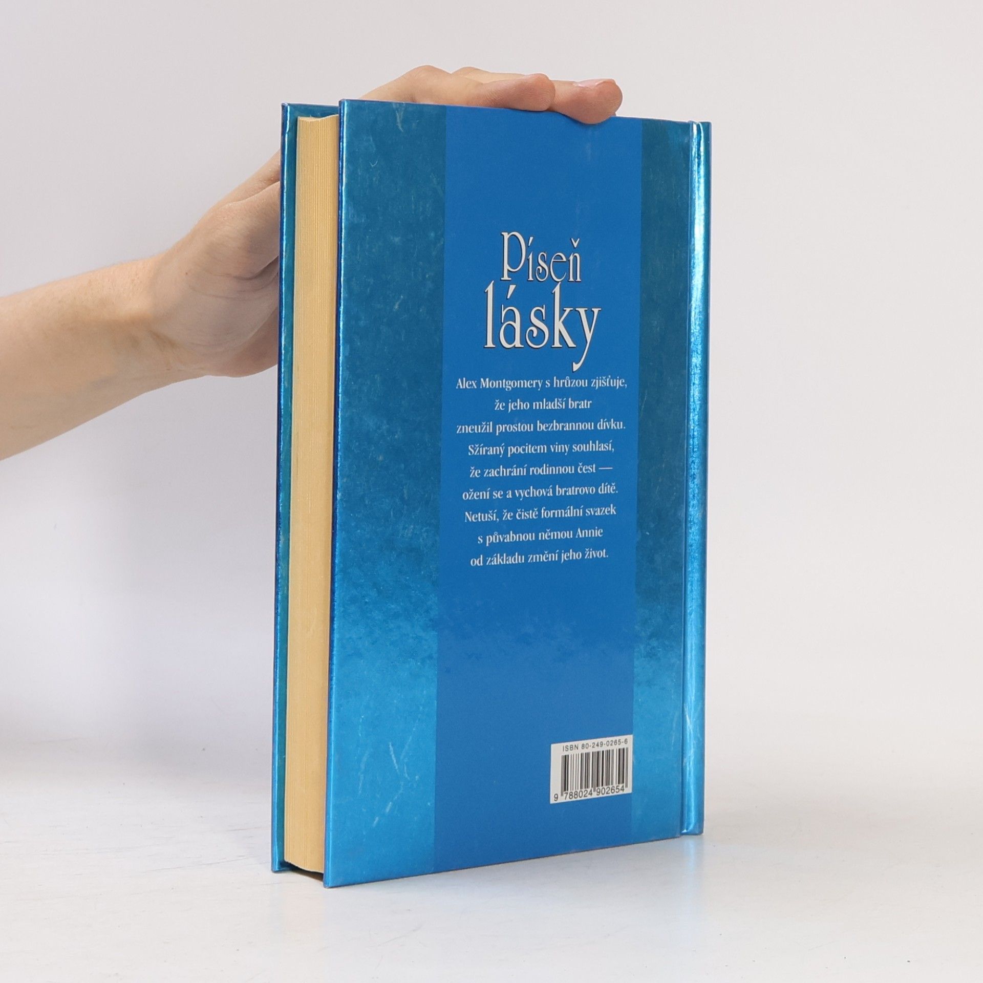 Catherine Anderson Píseň lásky