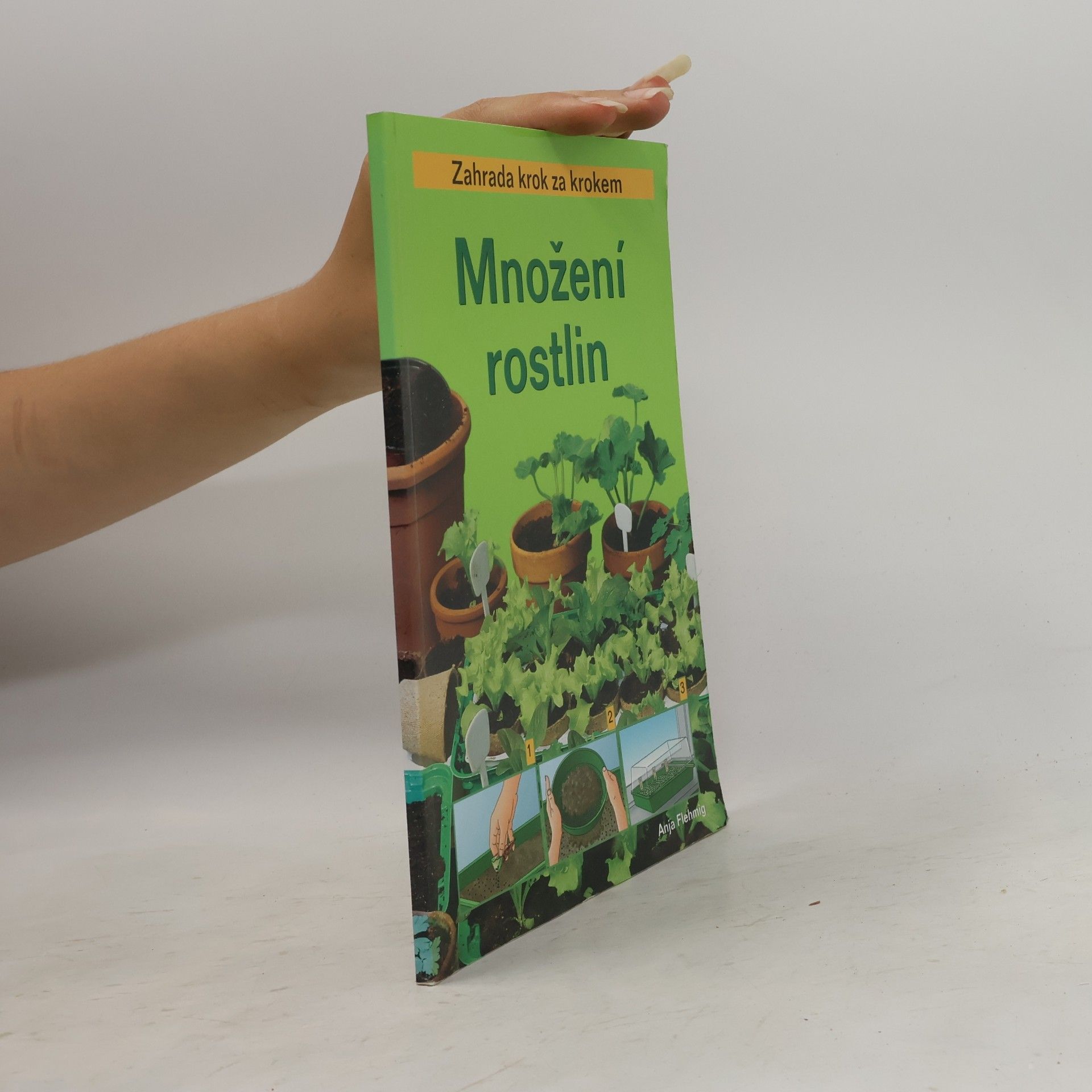 Anja Flehmig Množení rostlin