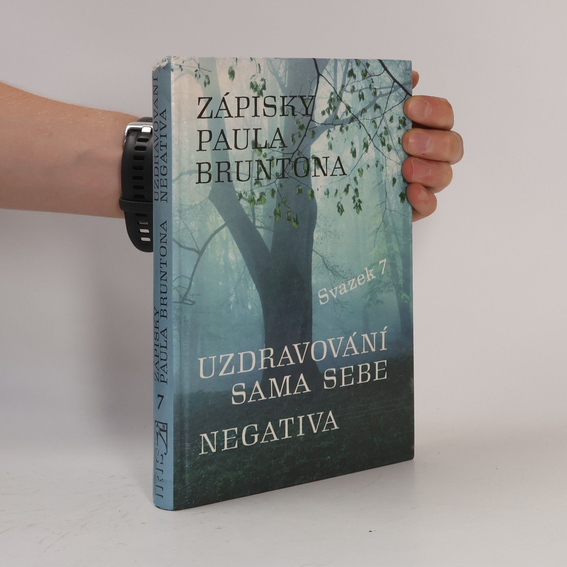 Paul Brunton Zápisky Paula Bruntona : do hloubky rozpracovaná desátá a jedenáctá kategorie ze Zápisků. Svazek 7