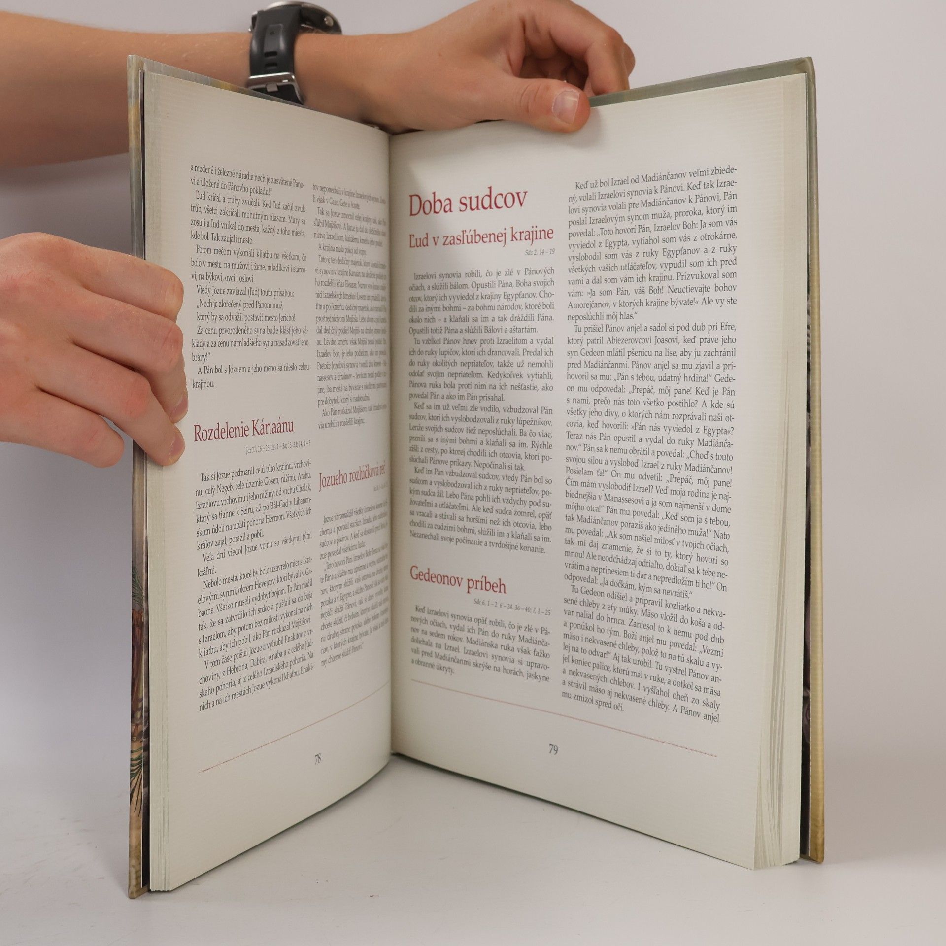 Kolektív autorov Veľká obrázková Biblia