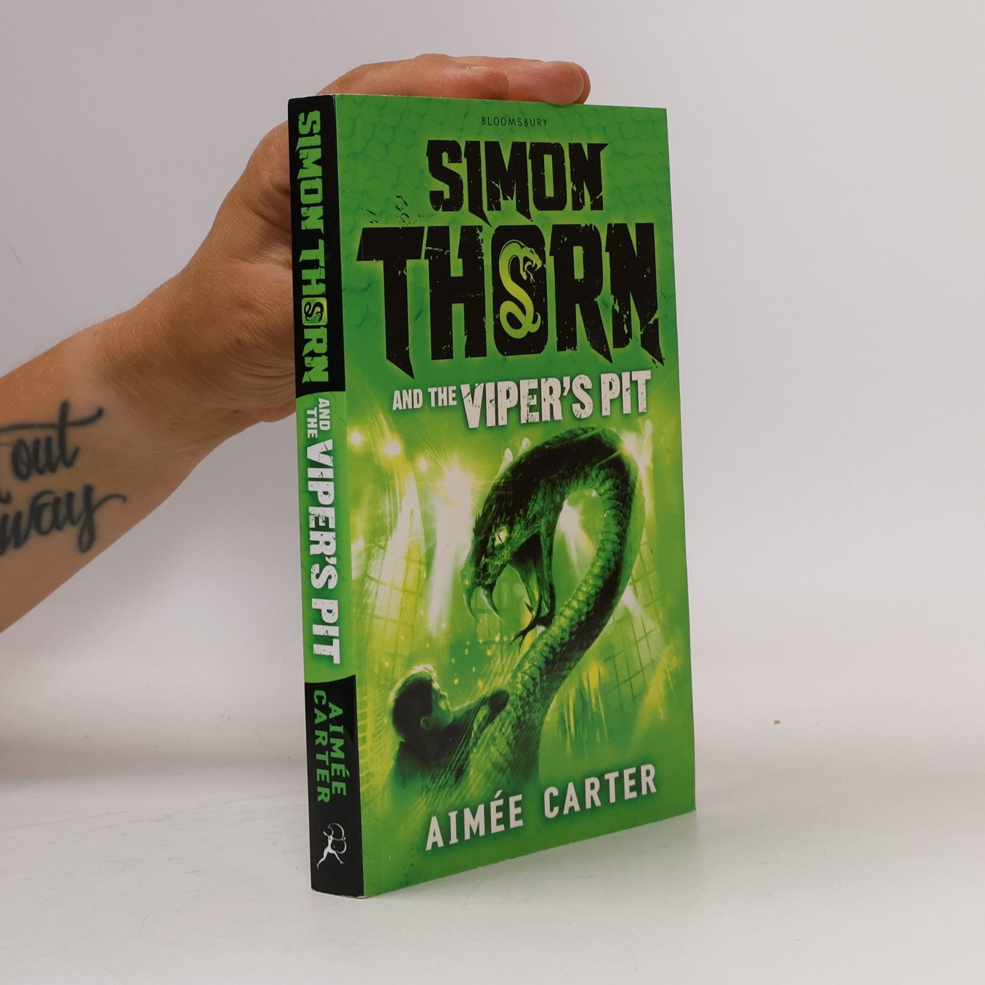 Aimee Carter Simon Thorn and the Viper's Pit